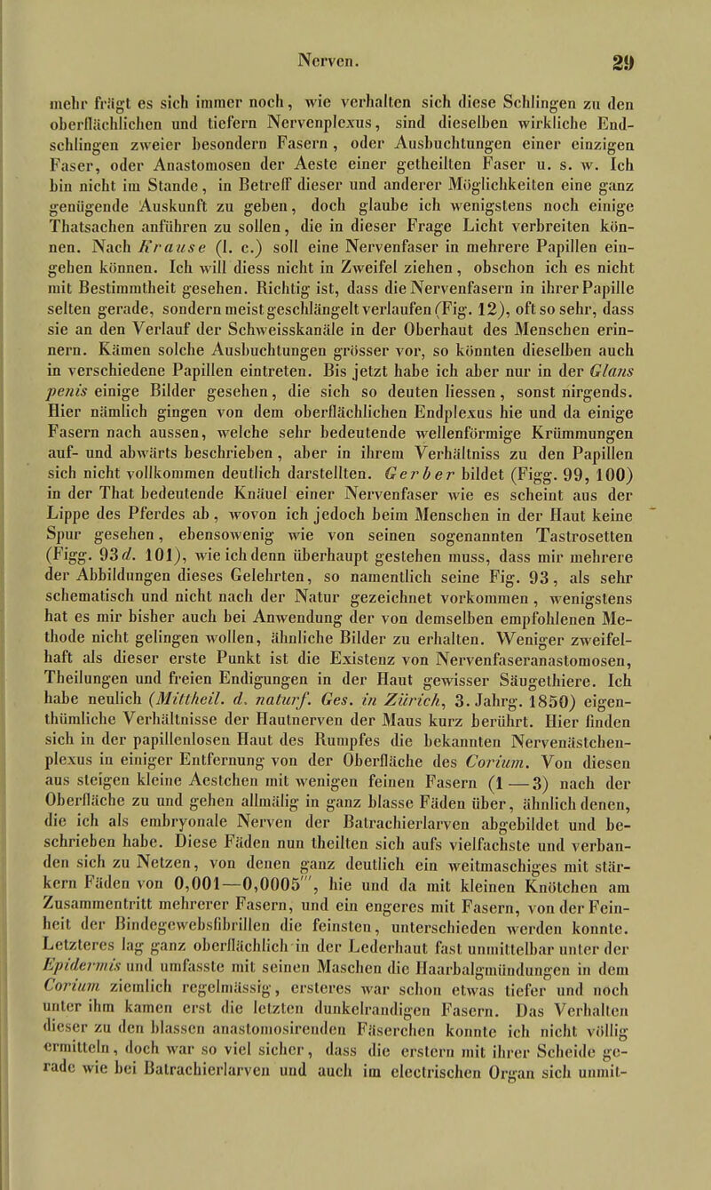 mehr frägt es sich immer noch, wie verhalten sich diese Schlingen zu den oberflächlichen und tiefem Nervcnplcxus, sind dieselben wirkliche End- schlingen zweier besondern Fasern, oder Ausbuchtungen einer einzigen Faser, oder Anastomosen der Aeste einer getheilten Faser u. s. w. Ich bin nicht im Stande, in Betreff dieser und anderer Möglichkeiten eine ganz genügende Auskunft zu geben, doch glaube ich wenigstens noch einige Thatsachen anführen zu sollen, die in dieser Frage Licht verbreiten kön- nen. Nach Krause (1. c.) soll eine Nervenfaser in mehrere Papillen ein- gehen können. Ich will diess nicht in Zweifel ziehen, obschon ich es nicht mit Bestimmtheit gesehen. Bichtig ist, dass die Nervenfasern in ihrer Papille selten gerade, sondern meist geschlängelt verlaufen (Fig. 12), oft so sehr, dass sie an den Verlauf der Schweisskanäle in der Oberhaut des Menschen erin- nern. Kämen solche Ausbuchtungen grösser vor, so könnten dieselben auch in verschiedene Papillen eintreten. Bis jetzt habe ich aber nur in der Glans penis einige Bilder gesehen, die sich so deuten Hessen, sonst nirgends. Hier nämlich gingen von dem oberflächlichen Endplexus hie und da einige Fasern nach aussen, welche sehr bedeutende wellenförmige Krümmungen auf- und abwärts beschrieben , aber in ihrem Verhältniss zu den Papillen sich nicht vollkommen deutlich darstellten. Gerber bildet (Figg. 99, 100) in der That bedeutende Knäuel einer Nervenfaser wie es scheint aus der Lippe des Pferdes ab , wovon ich jedoch beim Menschen in der Haut keine Spur gesehen, ebensowenig wie von seinen sogenannten Tastrosetten (Figg. 93 d. 101), wie ich denn überhaupt gestehen muss, dass mir mehrere der Abbildungen dieses Gelehrten, so namentlich seine Fig. 93, als sehr schematisch und nicht nach der Natur gezeichnet Vorkommen , wenigstens hat es mir bisher auch hei Anwendung der von demselben empfohlenen Me- thode nicht gelingen wollen, ähnliche Bilder zu erhalten. Weniger zweifel- haft als dieser erste Punkt ist die Existenz von Nervenfaseranastomosen, Theilungen und freien Endigungen in der Haut gewisser Säugethiere. Ich habe neulich (Miltheil. d, naturf. Ges. in Zürich, 3. Jahrg. 1850) eigen- tümliche Verhältnisse der Ilaulnerven der Maus kurz berührt. Hier finden sich in der papillenlosen Haut des Rumpfes die bekannten Nervenästchen- plexus in einiger Entfernung von der Oberfläche des Corium. Von diesen aus steigen kleine Aestchen mit wenigen feinen Fasern (1—3) nach der Oberfläche zu und gehen allmälig in ganz blasse Fäden über, ähnlich denen, die ich als embryonale Nerven der Batrachierlarven abgebildet und be- schrieben habe. Diese Fäden nun theilten sich aufs vielfachste und verban- den sich zu Netzen, von denen ganz deutlich ein weitmaschiges mit stär- kern Fäden von 0,001—0,0005 , hie und da mit kleinen Knötchen am Zusammentritt mehrerer Fasern, und ein engeres mit Fasern, von der Fein- heit der Bindegewebsfibrillen die feinsten, unterschieden werden konnte. Letzteres lag ganz oberflächlich in der Lederhaut fast unmittelbar unter der Epidermis und umfasste mit seinen Maschen die Ilaarbalgmiindungen in dem Corium ziemlich regelmässig, ersteres war schon etwas tiefer und noch unter ihm kamen erst die letzten dunkelrandigen Fasern. Das Verhalten dieser zu den blassen anastomosirenden Fäserchen konnte ich nicht völlig ermitteln, doch war so viel sicher, dass die erstem mit ihrer Scheide ge- rade wie bei Batrachierlarven und auch im clectrischen Organ sich unrait-