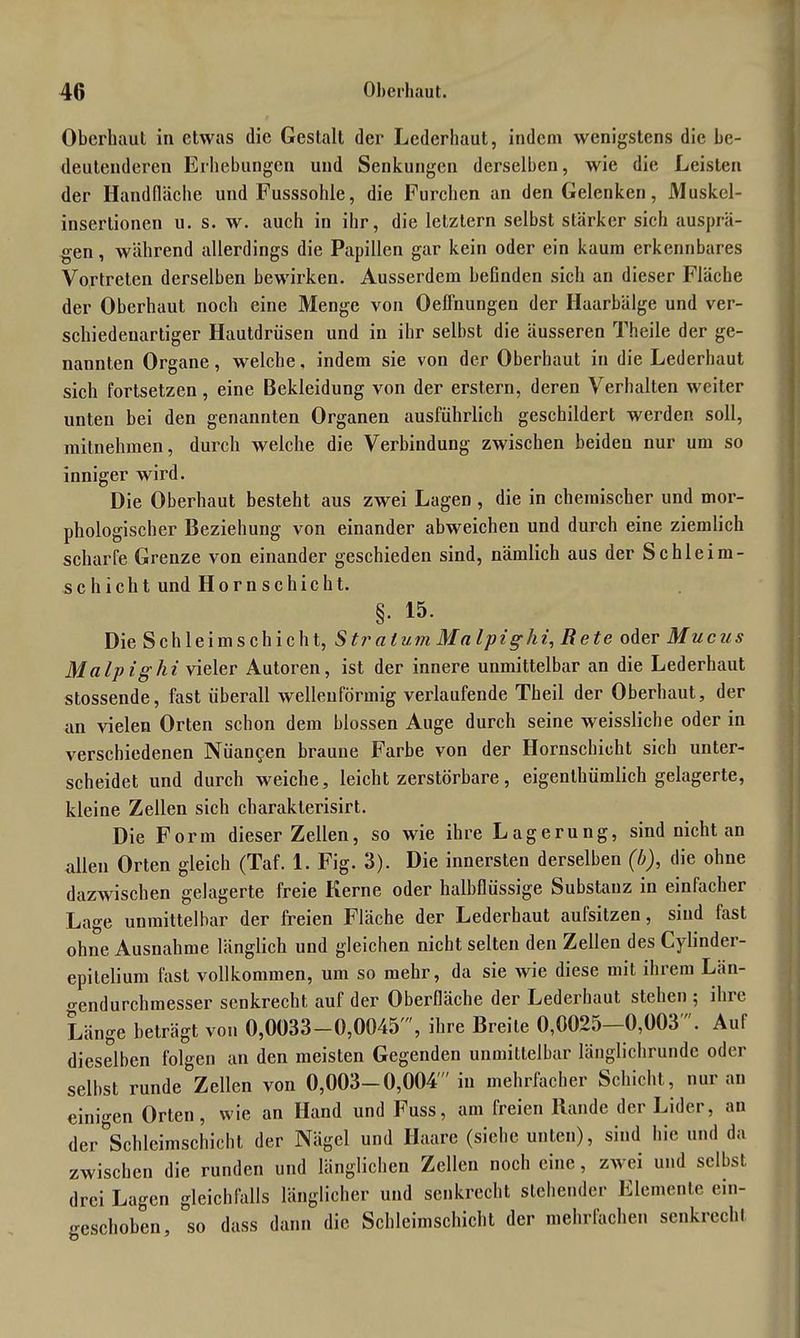 Oberhaut in etwas die Gestalt der Lederhaut, indem wenigstens die be- deutenderen Erhebungen und Senkungen derselben, wie die Leisten der Handfläche und Fusssohle, die Furchen an den Gelenken, Muskel- insertionen u. s. w. auch in ihr, die letztem selbst stärker sich ausprä- gen, während allerdings die Papillen gar kein oder ein kaum erkennbares Vortreten derselben bewirken. Ausserdem befinden sich an dieser Fläche der Oberhaut noch eine Menge von Oeffnungen der Haarbälge und ver- schiedenartiger Hautdrüsen und in ihr selbst die äusseren Theile der ge- nannten Organe, welche, indem sie von der Oberhaut in die Lederhaut sich fortsetzen, eine Bekleidung von der erstem, deren Verhalten weiter unten bei den genannten Organen ausführlich geschildert werden soll, mitnehmen, durch welche die Verbindung zwischen beiden nur um so inniger wird. Die Oberhaut besteht aus zwei Lagen , die in chemischer und mor- phologischer Beziehung von einander abweichen und durch eine ziemlich scharfe Grenze von einander geschieden sind, nämlich aus der Schleim- schicht und IIornschiebt. §. 15. Die Schleimschicht, Stratum Mn Ipig hi, Rete oder Muchs Malpighi vieler Autoren, ist der innere unmittelbar an die Lederhaut stossende, fast überall wellenförmig verlaufende Theil der Oberhaut, der an vielen Orten schon dem blossen Auge durch seine weissliche oder in verschiedenen Nüan^en braune Farbe von der Hornschicht sich unter- scheidet und durch weiche, leicht zerstörbare, eigenthümlich gelagerte, kleine Zellen sich charakterisirt. Die Form dieser Zellen, so wie ihre Lagerung, sind nicht an allen Orten gleich (Taf. 1. Fig. 3). Die innersten derselben (b), die ohne dazwischen gelagerte freie Kerne oder halbflüssige Substanz in einfacher Lage unmittelbar der freien Fläche der Lederhaut aufsitzen, sind fast ohne Ausnahme länglich und gleichen nicht selten den Zellen des Cylinder- epitelium fast vollkommen, um so mehr, da sie wie diese mit ihrem Län- o-endurchmesser senkrecht auf der Oberfläche der Lederhaut stehen ; ihre Länge beträgt von 0,0033—0,0045', ihre Breite 0,0025—0,003 . Auf dieselben folgen an den meisten Gegenden unmittelbar länglichrunde oder seihst runde Zellen von 0,003-0,004 in mehrfacher Schicht, nur an einigen Orten, wie an Hand und Fuss, am freien Rande der Lider, an der°Schleimschicht der Nägel und Haare (siehe unten), sind hie und da zwischen die runden und länglichen Zellen noch eine, zwei und selbst drei Lagen gleichfalls länglicher und senkrecht stehender Elemente ein- geschoben, so dass dann die Schleimschicht der mehrfachen senkrecht