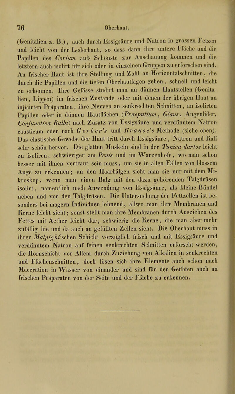 (Genitalien z. B.), auch durch Essigsäure und Natron in grossen Fetzen und leicht von der Lederhaut, so dass dann ihre untere Fläche und die Papillen des Corium aufs Schönste zur Anschauung kommen und die letztem auch isolirt für sich oder in einzelnen Gruppen zu erforschen sind. An frischer Haut ist ihre Stellung und Zahl an Horizontalschnitten, die durch die Papillen und die tiefen Oberhautlagen gehen, schnell und leicht zu erkennen. Ihre Gelasse studirt man an dünnen Hautstellen (Genita- lien, Lippen) im frischen Zustande oder mit denen der übrigen Haut an injicirten Präparaten, ihre Nerven an senkrechten Schnitten, an isolirten Papillen oder in dünnen Hautflächen (Praeputium, Glans, Augenlider, Conjunctiva Bulbi') nach Zusatz von Essigsäure und verdünntem Natron causticum oder nach Gerberas und Kra use^s Methode (siehe oben). Das elastische Gewebe der Haut tritt durch Essigsäure, Natron und Kali sehr schön hervor. Die glatten Muskeln sind in der Tunica darlos leicht zu isoliren, schwieriger am Penis und im Warzenhofe, wo man schon besser mit ihnen vertraut sein muss, um sie in allen Fällen von blossem Auge zu erkennen; an den Haarbälgen sieht man sie nur mit dem Mi- kroskop, wenn man einen Balg mit den dazu gehörenden Talgdrüsen isolirt, namentlich nach Anwendung von Essigsäure, als kleine Bündel neben und vor den Talgdrüsen. Die Untersuchung der Fettzellen ist be- sonders bei magern Individuen lohnend, allwo man ihre Membranen und Kerne leicht sieht; sonst stellt man ihre Membranen durch Ausziehen des Fettes mit Aether leicht dar, schwierig die Kerne, die man aber mehr zufällig hie und da auch an gefüllten Zellen sieht. Die Oberhaut muss in ihrer Malpighüsehen Schicht vorzüglich frisch und mit Essigsäure und verdünntem Natron auf feineu senkrechten Schnitten erforscht werden, die Hornschicht vor Allem durch Zuziehung von Alkalien in senkrechten und Flächenschnitten, doch lösen sich ihre Elemente auch schon nach Maceration in Wasser von einander und sind für den Geübten auch au frischen Präparaten von der Seite und der Fläche zu erkennen.