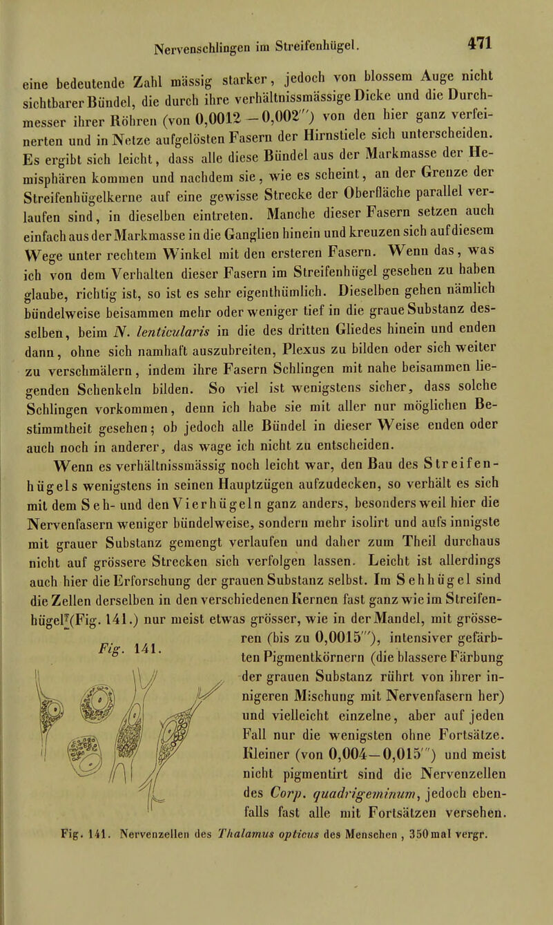eine bedeutende Zahl massig starker, jedoch von blossem Auge nicht sichtbarer Bündel, die durch ihre verhältnissmässige Dicke und die Durch- messer ihrer Röhren (von 0,0012-0,002') von den hier ganz verfei- nerten und in Netze aufgelösten Fasern der Hirnstiele sich unterscheiden. Es ergibt sich leicht, dass alle diese Bündel aus der Markmasse der He- misphären kommen und nachdem sie, wie es scheint, an der Grenze dei Streifenhügelkerne auf eine gewisse Strecke der Oberfläche parallel ver- laufen sind, in dieselben eintreten. Manche dieser Fasern setzen auch einfach aus der Markmasse in die Ganglien hinein und kreuzen sich auf diesem Wege unter rechtem Winkel mit den ersteren Fasern. Wenn das, was ich von dem Verhalten dieser Fasern im Streifenhiigel gesehen zu haben glaube, richtig ist, so ist es sehr eigentümlich. Dieselben gehen nämlich bündelweise beisammen mehr oder weniger tief in die graue Substanz des- selben, beim N. lenticularis in die des dritten Gliedes hinein und enden dann, ohne sich namhaft auszubreiten, Plexus zu bilden oder sich weiter zu verschmälern, indem ihre Fasern Schlingen mit nahe beisammen lie- genden Schenkeln bilden. So viel ist wenigstens sicher, dass solche Schlingen Vorkommen, denn ich habe sie mit aller nur möglichen Be- stimmtheit gesellen; ob jedoch alle Bündel in dieser Weise enden oder auch noch in anderer, das wage ich nicht zu entscheiden. Wenn es verhältnissmässig noch leicht war, den Bau des Streifen- hügels wenigstens in seinen Hauptzügen aufzudecken, so verhält es sich mit dem Seh- und den Vier hü ge ln ganz anders, besonders weil hier die Nervenfasern weniger bündelweise, sondern mehr isolirt und aufs innigste mit grauer Substanz gemengt verlaufen und daher zum Theil durchaus nicht auf grössere Strecken sich verfolgen lassen. Leicht ist allerdings auch hier die Erforschung der grauen Substanz selbst. Im Sehhügel sind die Zellen derselben in den verschiedenen Kernen fast ganz wie im Streifen- hügel7(Fig. 141.) nur meist etwas grösser, wie in der Mandel, mit grösse- ren (bis zu 0,0015 ), intensiver gefärb- ten Pigmentkörnern (die blässere Färbung der grauen Substanz rührt von ihrer in- nigeren Mischung mit Nervenfasern her) und vielleicht einzelne, aber auf jeden Fall nur die wenigsten ohne Fortsätze. Kleiner (von 0,004—0,015') und meist nicht pigmentirt sind die Nervenzellen des Corp. quadrigeminum, jedoch eben- falls fast alle mit Fortsätzen versehen.