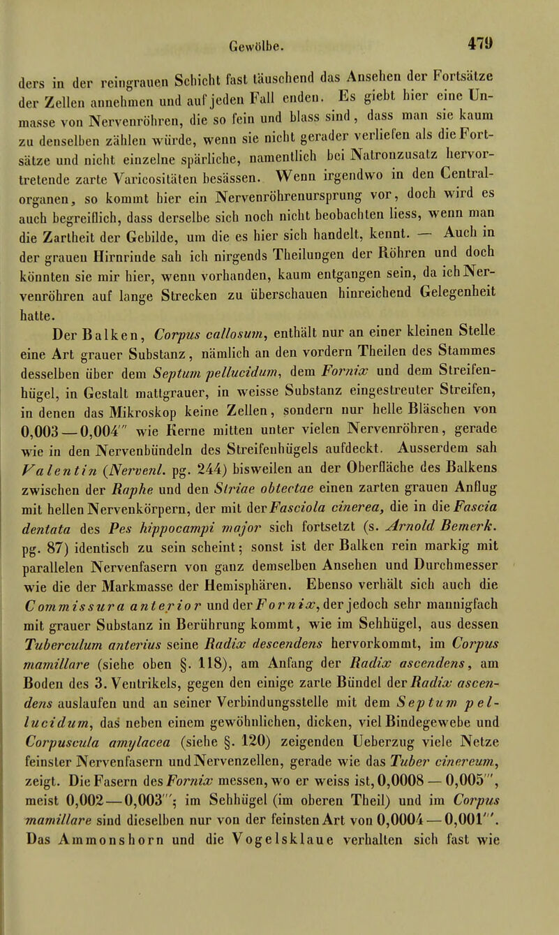 Gewölbe. 471) ders in der reingrauen Schicht fast täuschend das Ansehen der Fortsätze der Zellen annehmen und auf jeden Fall enden. Es giebt hier eine Un- masse von Nervenröhren, die so fein und blass sind , dass man sie kaum zu denselben zählen würde, wenn sie nicht gerader verliefen als die Fort- sätze und nicht einzelne spärliche, namentlich hei Natronzusatz hervor- tretende zarte Varicositäten besässen. Wenn irgendwo in den Central- organen, so kommt hier ein Nervenröhrenursprung vor, doch wird es auch begreiflich, dass derselbe sich noch nicht beobachten liess, wenn man die Zartheit der Gebilde, um die es liier sich handelt, kennt. Auch in der grauen Hirnrinde sah ich nirgends Theilungen der Röhren und doch könnten sie mir hier, wenn vorhanden, kaum entgangen sein, da ich Ner- venröhren auf lange Strecken zu überschauen hinreichend Gelegenheit hatte. Der Balken, Corpus callosum, enthält nur an einer kleinen Stelle eine Art grauer Substanz, nämlich an den vordem Theilen des Stammes desselben über dem Septum pellucidum, dem Formx und dem Streifen- hügel, in Gestalt mattgrauer, in weisse Substanz eingestreuter Streifen, in denen das Mikroskop keine Zellen, sondern nur helle Bläschen von 0,003 — 0,004' wie Kerne mitten unter vielen Nervenröhren, gerade wie in den Nervenbündeln des Streifenhügels aufdeckt. Ausserdem sah Valentin (Nervenl. pg. 244) bisweilen an der Oberfläche des Balkens zwischen der Raphe und den Striae obtectae einen zarten grauen Anflug mit hellen Nervenkörpern, der mit AerFasciola cinerea, die in dieFascia dentata des Pes hippocampi major sich fortsetzt (s. Arnold Bemerk. pg. 87) identisch zu sein scheint$ sonst ist der Balken rein markig mit parallelen Nervenfasern von ganz demselben Ansehen und Durchmesser wie die der Markmasse der Hemisphären. Ebenso verhält sich auch die C ommissura anterior und der Fornix, der jedoch sehr mannigfach mit grauer Substanz in Berührung kommt, wie im Sehhügel, aus dessen Tuberculum anterius seine Radix descendens hervorkommt, im Corpus mamillare (siehe oben §. 118), am Anfang der Radix ascendens, am Boden des 3. Ventrikels, gegen den einige zarte Bündel der Radix ascen- dens auslaufen und an seiner Verbindungsstelle mit dem Septum pel- lucidum, das neben einem gewöhnlichen, dicken, viel Bindegewebe und Corpuscula arnylacea (siehe §. 120) zeigenden Ueberzug viele Netze feinster Nervenfasern und Nervenzellen, gerade wie das Tuber einer cum, zeigt. Die Fasern des Fornix messen, wo er weiss ist, 0,0008 — 0,005 , meist 0,002 — 0,003'$ im Sehhügel (im oberen Theil) und im Corpus mamillare sind dieselben nur von der feinsten Art von 0,0004—0,001'. Das Ammons hör n und die Vogelsklaue verhalten sich fast wie