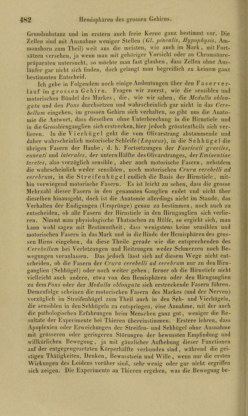 Grundsubstanz und im erstem auch freie Kerne ganz bestimmt vor. Die Zellen sind mit Ausnahme weniger Stellen (Gl. pinealis, llypophysis, Am- monshorn zum Theil) weit aus die meisten, wie auch im Mark, mit hort- sätzen versehen, ja wenn man mit gehöriger Vorsicht oder an Chromsäure- präparaten untersucht, so möchte man last glauben, dass Zellen ohne Aus- läufer gar nicht sich finden, doch gelangt man begreiflich zu keinem ganz bestimmten Entscheid. Ich gebe in Folgendem noch einige Andeutungen über den Faserver- lauf im grossen Gehirn. Fragen wir zuerst, wie die sensiblen und motorischen Bündel des Markes, die, wie wir sahen, die Medulla oblon- gata und den Pons durchsetzen und wahrscheinlich gar nicht in das Cere- bellum eingehen, im grossen Gehirn sich verhalten, so gibt uns die Anato- mie die Antwort, dass dieselben ohne Unterbrechung in die Hirnstiele und in die Grosshirnganglien sich erstrecken, hier jedoch grösstenlheiis sich ver- lieren. In die Vi erhüge 1 geht die vom Olivarstrang abstammende und daher wahrscheinlich motorische Schleife (Laqueus), in die Sehhügel die übrigen Fasern der Haube, d. h. Fortsetzungen der Fasciculi graciles, cuneati und laterales, der untern Hälfte des Olivarstranges, der Eminentiae teretes, also vorzüglich sensible, aber auch motorische Fasern, nebsldem die wahrscheinlich weder sensiblen, noch motorischen Crura cerebelli ad cerebrum, in die Streifenhügel endlich die Basis der Hirnstiele, mit- hin vorwiegend motorische Fasern. Es ist leicht zu sehen, dass die grosse Mehrzahl dieser Fasern in den genannten Ganglien endet und nicht über dieselben hinausgeht, doch ist die Anatomie allerdings nicht im Stande, das Verhalten der Endigungen (Ursprünge) genau zu bestimmen, noch auch zu entscheiden, ob alle Fasern der Hirnstiele in den Hirnganglien sich verlie- ren. Nimmt man physiologische Thatsachen zu Hülfe, so ergiebt sich, man kann Avohl sagen mit Bestimmtheit, dass Avenigstens keine sensiblen und motorischen Fasern in das Mark und in die Rinde der Hemisphären des gros- sen Hirns eingehen, da diese Theile gerade Avie die entsprechenden des Cerebellum bei Verletzungen und Reitzungen AAreder Schmerzen noch Be- Avegungen veranlassen. Das jedoch lässt sich auf diesem Wege nicht ent- scheiden, ob die Fasern der Crura cerebelli ad cerebrum nur zu den Hirn- ganglien (Sehhügel) oder noch weiter gehen, ferner oh die Hirnstiele nicht vielleicht auch andere, etAva von den Hemisphären oder den Hirnganglien zu dem Fo/zs oder der Medulla oblongata sich erstreckende Fasern führen. Demzufolge scheinen die motorischen Fasern des Markes (und der Nerven) vorzüglich im Streifenhügel zum Theil auch in den Seh- und Vierhügeln, die sensiblen in den Sehhügeln zu entspringen, eine Annahme, mit, der auch die pathologischen Erfahrungen beim Menschen ganz gut, Aveniger die Re- sultate der Experimente hei Thieren übereinstimmen. Erstere lehren, dass Apoplexien oder Enveichungen der Streifen- und Sehhiigel ohne x4usnahme mit grösseren oder geringeren Störungen der beAvussten Empfindung und willkürlichen Bewegung, ja mit gänzlicher Aufhebung dieser Functionen auf der entgegengesetzten Körperhälfte verbunden sind, Avährend die gei- stigen Thätigkeiten, Denken, Bewusstsein und Wille, Avcnn nur die ersten Wirkungen des Leidens vorüber sind, sehr Avenig oder gar nicht ergriffen sich zeigen. Die Experimente an Thieren ergeben, Avas die ßcAvegung bc-