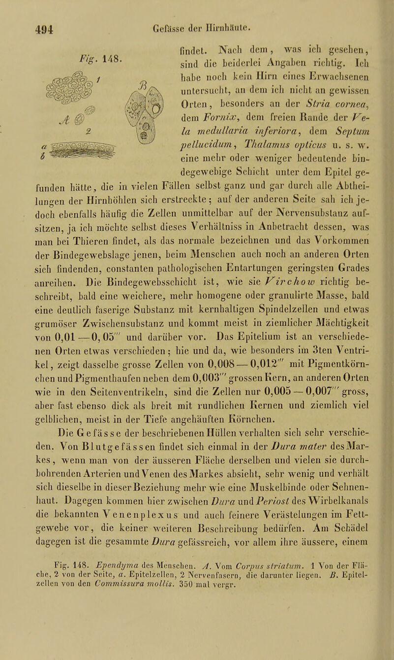 findet. Nach dem, was ich gesehen, sind die beiderlei Angaben richtig. Ich habe noch kein Hirn eines Erwachsenen untersucht, an dem ich nicht an gewissen Orten, besonders an der Stria cornca, dem Fornix, dem freien Rande der Ve- la medullaria inferiora, dem Septum pellucidum, Thalamus opticus u. s. w. eine mehr oder weniger bedeutende bin- degewebige Schicht unter dem Epit.el ge- funden hätte, die in vielen Fällen selbst ganz und gar durch alle Abthei- lungen der Hirnhöhlen sich erstreckte; auf der anderen Seite sah ich je- doch ebenfalls häufig die Zellen unmittelbar auf der Nervensubslanz auf- sitzen, ja ich möchte selbst dieses Verhältniss in Anbetracht dessen, was man bei Thieren findet, als das normale bezeichnen und das Vorkommen der Bindegewebslage jenen, beim Menschen auch noch an anderen Orten sich findenden, consfanten pathologischen Entartungen geringsten Grades anreiheu. Die Bindegewebsschicht ist, wie sie Virchow richtig be- schreibt, bald eine weichere, mehr homogene oder granulirte Masse, bald eine deutlich faserige Substanz mit kernhaltigen Spindelzellen und etwas grumöser Zwischensubstanz und kommt meist in ziemlicher Mächtigkeit von 0,01—0,05  und darüber vor. Das Epitelium ist an verschiede- nen Orten etwas verschieden; hie und da, wie besonders im 3ten Ventri- kel, zeigt dasselbe grosse Zellen von 0,008 — 0,012  mit Pigmentkörn- chen und Pigmenthaufen neben dem 0,003' grossen Kern, an anderen Orlen wie in den Seitenventrikeln, sind die Zellen nur 0,005 — 0,007  gross, aber fast ebenso dick als breit mit rundlichen Kernen und ziemlich viel gelblichen, meist in der Tiefe angehäuften Körnchen. Die Gefässe der beschriebenen Hüllen verhalten sich sehr verschie- den. Von Blutgefässen findet sich einmal in der Dura mater des Mar- kes , wenn man von der äusseren Fläche derselben und vielen sie durch- bohrenden Arterien und Venen des Markes absieht, sehr wenig und verhält sich dieselbe in dieser Beziehung mehr wie eine Muskelbinde oder Sehnen- liaut. Dagegen kommen hier zwischen Dura und Periost des Wirbelkanals die bekannten Venenplexus und auch feinere Verästelungen im Fett- gewebe vor, die keiner weiteren Beschreibung bedürfen. Am Schädel dagegen ist die gesaminte Dura gefässreich, vor allem ihre äussere, einem Fig. 148. Epcndyma des Menschen. A. Vom Corpus striatum. 1 Von der Flä- che, 2 von der Seite, a. Epitelzellen, 2 Nervenfasern, die darunter liegen. B. Epitcl- zellen von den Commissura mollis. 350 mal vergr. Fig. 148.