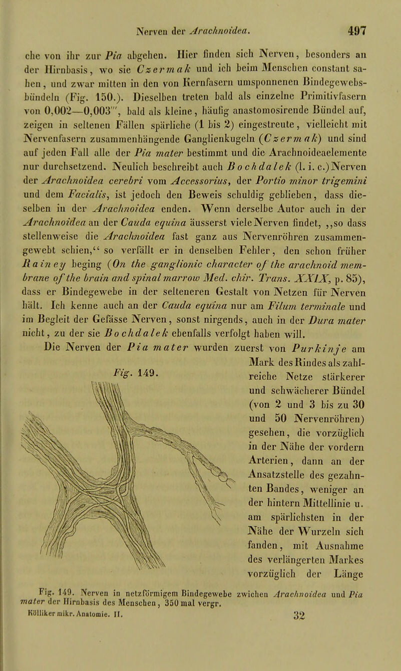 che von ihr zur Pia abgehen. Hier linden sich Nerven, besonders an der Hirnbasis, wo sie Csermak und ich beim Menschen constant sa- hen , und zwar mitten in den von Kernfasern umsponnenen Bindegewebs- bündeln (Fig. 150.). Dieselben treten bald als einzelne Primitivfasern von 0,002—0,003', bald als kleine, häufig anastomosirende Bündel auf, zeigen in seltenen Fällen spärliche (1 bis 2) eingestreute, vielleicht mit Nerveuläsern zusammenhängende Ganglienkugeln (Csermak) und sind auf jeden Fall alle der Pia mater bestimmt und die Arachnoideaelemcnte nur durchsetzend. Neulich beschreibt auch Bochdalek (1. i. c.)Nerven der Arachnoidea cerebri vom Accessorius, der Portio rninor trigemini und dem Facialis, ist jedoch den Beweis schuldig geblieben, dass die- selben in der Arachnoidea enden. Wenn derselbe Autor auch in der Arachnoidea an der Cauda equina äusserst vieleNerven findet, ,,so dass stellenweise die Araclmoidea fast ganz aus Nervenröhren zusammen- gewebt schien,“ so verfällt er in denselben Fehler, den schon früher Rainey beging (On the ganglionic character of the arachnoid mem- brane of the brain and spinal marrow Med. chir. Trans. XXIX, p. 85), dass er Bindegewebe in der selteneren Gestalt von Netzen für Nerven hält. Ich kenne auch an der Cauda equina nur am Filum terminale und im Begleit der Gefässe Nerven, sonst nirgends, auch in der Dura mater nicht, zu der sie Bochdalek ebenfalls verfolgt haben will. Die Nerven der Pia mater wurden zuerst von Purkinje am Mark des Rindes als zahl- reiche Netze stärkerer und schwächerer Bündel (von 2 und 3 bis zu 30 und 50 Nervenröhren) gesehen, die vorzüglich in der Nähe der vordem Arterien, dann an der Ansatzstelle des gezahn- ten Bandes, weniger an der hintern Mittellinie u. am spärlichsten in der Nähe der Wurzeln sich fanden, mit Ausnahme des verlängerten Markes vorzüglich der Länge Fip. 149. Nerven in netzförmigem Bindegewebe zwichen Arachnoidea und Pia mater der Ilirnbasis des Menschen, 350mal vergr. Küllikerinikr.Anatomie. II. 32