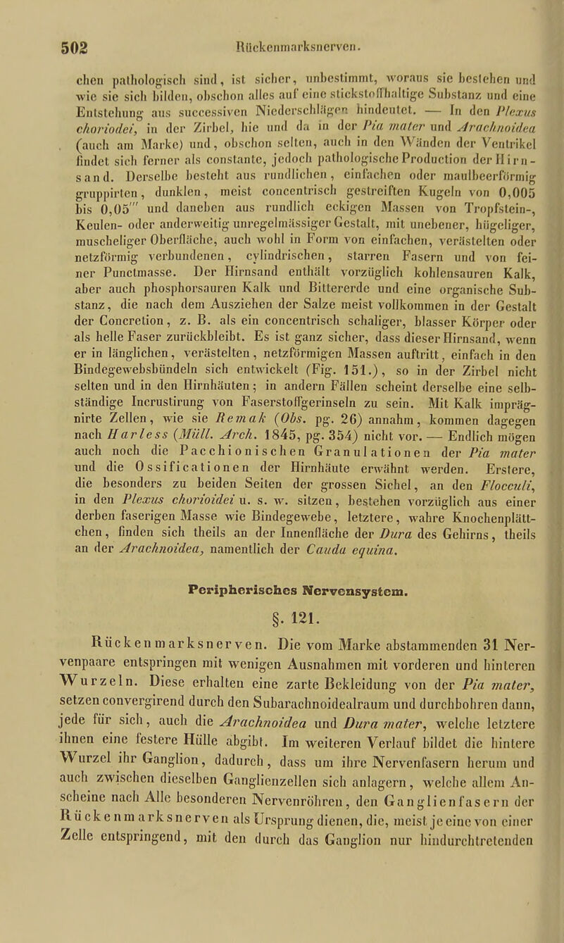 dien pathologisch sind, ist sicher, unbestimmt, woraus sie bestehen und wie sic sich bilden, obschon alles aul eine stickstoffhaltige Substanz und eine Entstehung aus successivcn Niederschlägen hindcutet. — In den Plexus choriodei, in der Zirbel, hie und da in der Pta mater und Arachnoidea (auch am Marke) und, obschon selten, auch in den Wänden der Ventrikel findet sich ferner als constante, jedoch pathologische Production der Hirn- sand. Derselbe besteht aus rundlichen, einfachen oder maulheerfbrmig gruppirten, dunklen, meist conccntrisch gestreiften Kugeln von 0,005 bis 0,05' und daneben aus rundlich eckigen Massen von Tropfstein-, Keulen- oder anderweitig unregelmässiger Gestalt, mit unebener, hügeliger, muscheliger Oberfläche, auch wohl in Form von einfachen, verästelten oder netzförmig verbundenen, cylindrischen, starren Fasern und von fei- ner Punctmasse. Der Hirnsand enthält vorzüglich kohlensauren Kalk, aber auch phosphorsauren Kalk und Bitterei'dc und eine organische Sub- stanz , die nach dem Ausziehen der Salze meist vollkommen in der Gestalt der Concretion, z. B. als ein concentrisch schaliger, blasser Körper oder als helle Faser zurückbleibt. Es ist ganz sicher, dass dieser Hirnsand, wenn er in länglichen, verästelten, netzförmigen Massen auftritt, einfach in den Bindegewebsbündeln sich entwickelt (Fig. 151.), so in der Zirbel nicht selten und in den Hirnhäuten; in andern Fällen scheint derselbe eine selb- ständige Incrustirung von Faserstoflgerinseln zu sein. Mit Kalk impräg- nirte Zellen, wie sie Remak {Obs. pg. 26) annahm, kommen dagegen nach Harless {Müll. Arch. 1845, pg. 354) nicht vor. — Endlich mögen auch noch die Pac ch i o n i s c h en Granulationen der Pia mater und die 0 ssificat i one n der Hirnhäute erwähnt werden. Erstere, die besonders zu beiden Seiten der grossen Sichel, an den Flocculi, in den Plexus chorioidei u. s. w. sitzen, bestehen vorzüglich aus einer derben faserigen Masse wie Bindegewebe, letztere, wahre Knochenplätt- chen , finden sich tlieils an der Innenfläche der Dura des Gehirns, theils an der Arachnoidea, namentlich der Cauda equina. Peripherisches Nervensystem. §. 121. Rückenmarksnerven. Die vom Marke abstammenden 31 Ner- venpaare entspringen mit wenigen Ausnahmen mit vorderen und hinteren Wurzeln. Diese erhalten eine zarte Bekleidung von der Pia mater, setzen convergirend durch den Subarachnoidealraum und durchbohren dann, jede für sich, auch die Arachnoidea und Dura mater, welche letztere ihnen eine lestere Hülle abgibt. Im weiteren Verlauf bildet die hintere W urzel ihr Ganglion, dadurch, dass um ihre Nervenfasern herum und auch zwischen dieselben Ganglienzellen sich anlagern, welche allem An- scheine nach Alle besonderen Nervenröhren, den Ganglien fasern der ltücke nm arksnerven als Ursprung dienen, die, meist je eine von einer Zelle entspringend, mit den durch das Ganglion nur hindurchtretenden