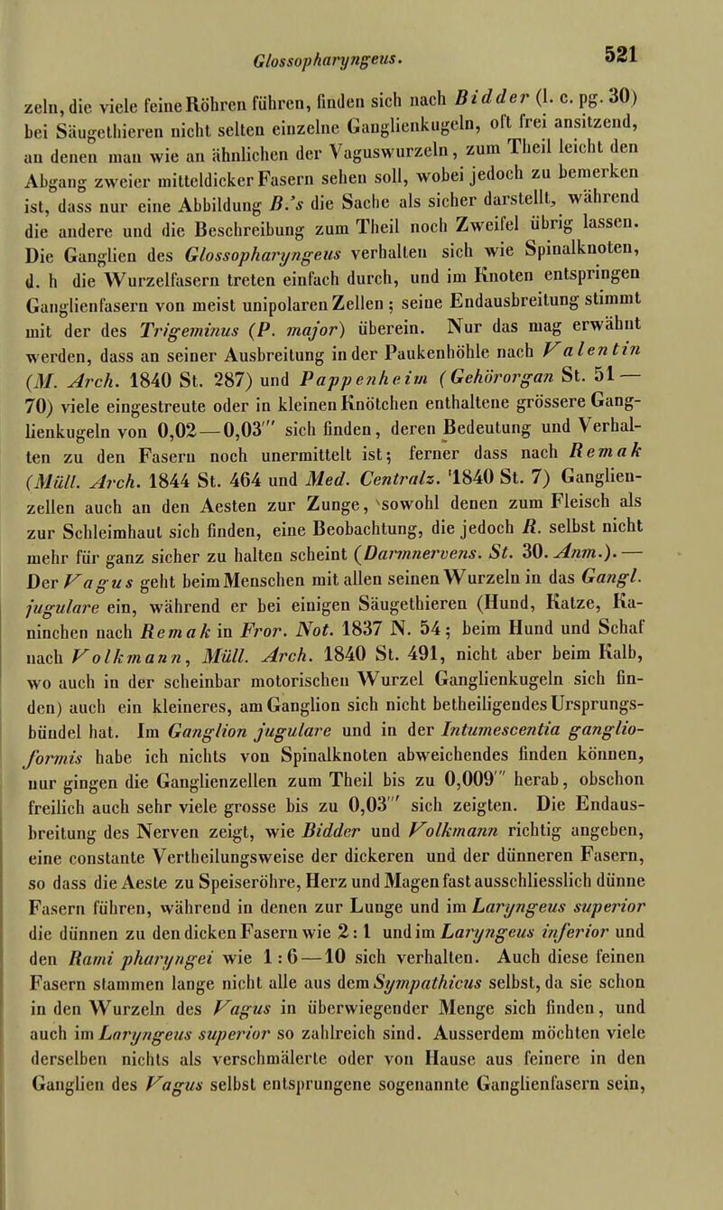 Glossopharyngeus. zeln, die viele feine Röhren führen, finden sich nach Bidder (1. c. pg. 30) hei Säugethieren nicht selten einzelne Ganglienkugeln, oft lrex ansitzend, an denen man wie an ähnlichen der Vagus wurzeln, zum Theil leicht den Abgang zweier mitteldicker Fasern sehen soll, wobei jedoch zu bemerken ist, dass nur eine Abbildung B.’s die Sache als sicher darstellt, während die andere und die Beschreibung zum Theil noch Zweilel übrig lassen. Die Ganglien des Glossopharyngeus verhalten sich wie Spinalknoten, d. h die Wurzelfasern treten einfach durch, und im Knoten entspringen Ganglien fasern von meist unipolaren Zellen ; seine Endausbreitung stimmt mit der des Trigeminus (P. major) überein. Nur das mag erwähnt werden, dass an seiner Ausbreitung in der Paukenhöhle nach Valentin (M. Arch. 1840 St. 287) und Pappenheim (Gehörorgan St. 51 — 70) viele eingestreute oder in kleinen Knötchen enthaltene grössere Gang- lienkugeln von 0,02 — 0,03' sich finden, deren Bedeutung und Verhal- ten zu den Fasern noch unermittelt ist; ferner dass nach Bemak (Müll. Arch. 1844 St. 464 und Med. Centralz. 1840 St. 7) Ganglien- zellen auch an den Aesten zur Zunge, 'sowohl denen zum Fleisch als zur Schleimhaut sich finden, eine Beobachtung, die jedoch R. selbst nicht mehr für ganz sicher zu halten scheint (Darmnervens. St. 30. Anm.). Der Vagus geht beimMenschen mit allen seinen Wurzeln in das Gangl. jugulare ein, während er bei einigen Säugethieren (Hund, Katze, Ka- ninchen nach Remak in Fror. Not. 183/ N. 54; beim Hund und Schal nach Volkmann, Müll. Arch. 1840 St. 491, nicht aber beim Kalb, wo auch in der scheinbar motorischen Wurzel Ganglienkugeln sich fin- den) auch ein kleineres, am Ganglion sich nicht betheiligendes Ursprungs- büudel hat. Im Ganglion jugulare und in der Intumescentia ganglio- formis habe ich nichts von Spinalknoten abweichendes finden können, nur gingen die Ganglienzellen zum Theil bis zu 0,009'' herab, obschon freilich auch sehr viele grosse bis zu 0,03' sich zeigten. Die Endaus- breitung des Nerven zeigt, wie Bidder und Volkmann richtig angeben, eine constante Verlheilungsweise der dickeren und der dünneren Fasern, so dass die Aeste zu Speiseröhre, Herz und Magen fast ausschliesslich dünne Fasern führen, während in denen zur Lunge und im Laryngeus superior die dünnen zu den dicken Fasern wie 2: l und im Laryngeus inferior und den Rami pharyngei wie 1:6 —10 sich verhalten. Auch diese feinen Fasern stammen lange nicht alle aus dem Sympathicus selbst, da sie schon in den Wurzeln des Vagus in überwiegender Menge sich finden, und auch im Laryngeus superior so zahlreich sind. Ausserdem möchten viele derselben nichts als verschmälerte oder von Hause aus feinere in den Ganglien des Vagus selbst entsprungene sogenannte Ganglienfasern sein,