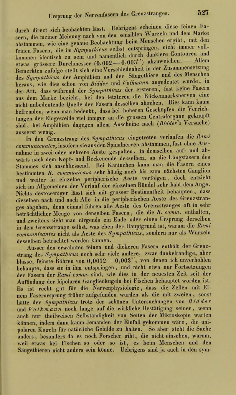 durch direct sich beobachten lasst. Uebngens Schemen diese fernen Fa- sern, die meiner Meinung nach von den sens,bien Wurzeln und den, Marke abstämmen, wie eine genaue Beobachtung heim Menschen erg,ht, mit den feinen Fasern, die im Sympalhicus seihst entspringen, nicht immci vo kommen identisch zu sein und namentlich durch dunklere Contourei. und etwas grössere Durchmesser (0,002 — 0,003 ) abzuweicien. ein Bemerkten zufolge stellt sich eine Verschiedenheit in der Zusammensetzung des Sympathicus der Amphibien und der Saugethiere und es ensc en heraus, wie dies schon von Bidder und J olkmann angedeutet wur e, in der Art, dass während der Sympalhicus der ersteren, fast keine fasern aus dem Marke bezieht, bei den letzteren die Rückenmarksnerven eine nicht unbedeutende Quelle der Fasern desselben abgeben. Dies kann kaum befremden, wenn man bedenkt, dass bei höheren Geschöpfen die Verne - tungen der Eingeweide viel inniger an die grossen Centralorgane geknüp t sind, bei Amphibien dagegen allem Anscheine nach (Bidder s Versuche) äusserst wenio\ In den Grenzstrang des Sympathicus eingetreten verlaufen die Rami communicantes,\nsotevn sie aus den Spinalnerven abstammen, fast ohne Aus- nahme in zwei oder mehrere Aeste gespalten, in demselben auf- und ab- wärts nach dem Kopf- und Beckenende desselben, an die Längsfasern des Stammes sich anschliessend. Bei Kaninchen kann man die Fasern eines bestimmten R. communicans sehr häufig noch bis zum nächsten Ganglion und weiter in einzelne peripherische Aeste verfolgen, doch entzieht sich im Allgemeinen der Verlauf der einzelnen Bündel sehr bald dem Auge. Nichts destoweniger lässt sich mit grosser Bestimmtheit behaupten, dass dieselben nach und nach Alle in die peripherischen Aeste des Grenzstran- ges abgehen, denn einmal führen alle Aeste des Grenzstranges oft in sehr beträchtlicher Menge von denselben Fasern, die die R. comm. enthalten, und zweitens sieht man nirgends ein Ende oder einen Ursprung derselben in dem Grenzstrange selbst, was eben der Hauptgrund ist, warum die Rami communicantes nicht als Aeste des Sympathicus, sondern nur als Wurzeln desselben betrachtet werden können. Ausser den erwähnten feinen und dickeren Fasern enthält der Grenz- strang des Sympathicus noch sehr viele andere, zwar dunkelrandige, aber blasse, feinste Röhren von 0,0012 — 0,002', von denen ich unverhohlen behaupte, dass sie in ihm entspringen, und nicht etwa nur Fortsetzungen der Fasern der Rami comm. sind, wie dies in der neuesten Zeit seit der Auffindung der bipolaren Ganglienkugeln bei Fischen behauptet worden ist. Es ist recht gut für die Nervenphysiologie, dass die Zellen mit Ei- nem Faserursprung früher aufgefunden wurden als die mit zweien, sonst hätte der Sympathicus trotz der schönen Untersuchungen von Bidder und Fo Ikmann noch lange auf die wirkliche Bestätigung seiner, wenn auch nur theihveisen Selbständigkeit von Seiten der Mikroskopie warten können, indem dann kaum Jemanden der Einfall gekommen wäre, die uni- polaren Kugeln für natürliche Gebilde zu halten. So aber steht die Sache anders, besonders da es noch Forscher gibt, die nicht einsehen, warum, weil etwas bei Fischen so oder so ist, es beim Menschen und den Säugethieren nicht anders sein könne. Uebrigens sind ja auch in den sym-