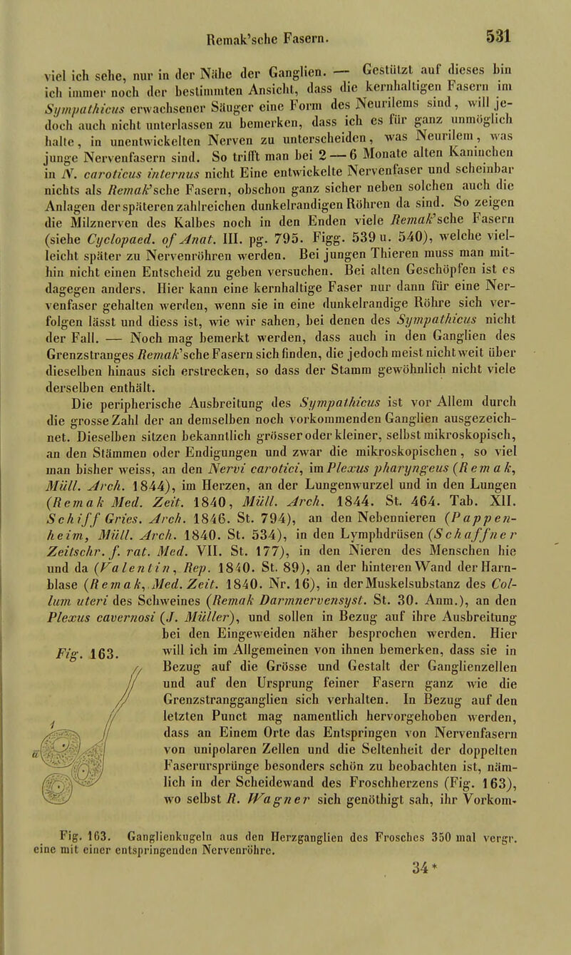 viel ich sehe, nur in der Nähe der Ganglien. — Gestützt auf dieses bin ich immer noch der bestimmten Ansicht, dass die kernhaltigen Fasern im Sympathicus erwachsener Säuger eine Form des Neurilems sind, will je- doch auch nicht unterlassen zu bemerken, dass ich es für ganz unmöglich halte, in unentwickelten Nerven zu unterscheiden, was Neunem, was junge Nervenfasern sind. So trifft man bei 2 — 6 Monate alten Kaninchen in N. caroticus internus nicht Eine entwickelte Nervenfaser und scheinbar nichts als Retnak’sehe Fasern, obschou ganz sicher neben solchen auch die Anlagen der späteren zahlreichen dunkelrandigen Röhren da sind. So zeigen die Milznerven des Kalbes noch in den Enden viele Remak’sehe basern (siehe Cyclopaed. of Anat. III. pg. 795. Figg. 539 u. 540), welche viel- leicht später zu Nervenröhren werden. Bei jungen Thieren muss man mit- hin nicht einen Entscheid zu geben versuchen. Bei alten Geschöpfen ist es dagegen anders. Hier kann eine kernhaltige Faser nur dann für eine Ner- venfaser gehalten werden, wenn sie in eine dunkelrandige Röhre sich ver- folgen lässt und diess ist, wie wir sahen, bei denen des Sympathicus nicht der Fall. — Noch mag bemerkt werden, dass auch in den Ganglien des Grenzstranges Remak’sehe Fasern sich finden, die jedoch meist nicht weit über dieselben hinaus sich erstrecken, so dass der Stamm gewöhnlich nicht viele derselben enthält. Die peripherische Ausbreitung des Sympathicus ist vor Allem durch die grosse Zahl der an demselben noch vorkommenden Ganglien ausgezeich- net. Dieselben sitzen bekanntlich grösser oder kleiner, selbst mikroskopisch, an den Stämmen oder Endigungen und zwar die mikroskopischen, so viel man bisher weiss, an den Nervi carotici, im Plexus pharyngeus (Rema k, Müll. Arch. 1844), im Herzen, an der Lungenwurzel und in den Lungen (Remak Med. Zeit. 1840, Müll. Arch. 1844. St. 464. Tab. XII. Schiff Gries. Arch. 1846. St. 794), an den Nebennieren (Pappen- heim, Müll. Arch. 1840. St. 534), in den Lymphdrüsen (Sch aff ne r Zeitschr.f. rat. Med. VII. St. 177), in den Nieren des Menschen hie und da (Valentin, Rep. 1840. St. 89), an der hinteren Wand der Harn- blase (Remak, Med. Zeit. 1840. Nr. 16), in der Muskelsubstanz des Col- lum uteri des Schweines (Remak Darmnervensyst. St. 30. Anm.), an den Plexus cavernosi (J. Müller), und sollen in Bezug auf ihre Ausbreitung bei den Eingeweiden näher besprochen werden. Hier will ich im Allgemeinen von ihnen bemerken, dass sie in Bezug auf die Grösse und Gestalt der Ganglienzellen und auf den Ursprung feiner Fasern ganz wie die Grenzstrangganglien sieb verhalten. In Bezug auf den letzten Punct mag namentlich hervorgehoben werden, dass an Einem Orte das Entspringen von Nervenfasern von unipolaren Zellen und die Seltenheit der doppelten Faserursprünge besonders schön zu beobachten ist, näm- lich in der Scheidewand des Froschherzens (Fig. 163), wo selbst R. Wagner sich genöthigt sah, ihr Vorkom- Fig. 163. Fig. 163. Ganglienkugeln aus den Herzganglien des Frosches 350 mal vergr. eine mit einer entspringenden Nervenröhre. 34*