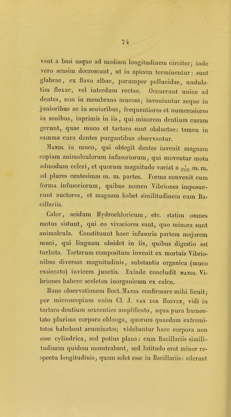 vant a basi usque ad mediain longitudinem cireiterj inde vero sensim decreseunt, ut in apicem terminentur: sunt glabrae, ex flavo albae, parumper pellucidae, undula- tim flexae, vel interdum rectae. Occurrunt unice ad denles, non in membrana mucosa- inveniuntur aeque in junioribus ac in senioribus, Irequentiores et numerosiores in senibus, inprimis in iis, qui minorem dentium curam geruut, quae mueo et tartaro sunt obduclae: tamen in summa cura dentes purgantibus observantur. Mandl in muco, qui obtegit dentes invenil magnam copiam animalculorum infusoriorum, qui moventur miotu admodum celeri, et quorura magnitudo variat a ji^ m. m. ad plures centesimas m. m. partes. Forma convenit cum forma infusoriorum, quibus nomen Vibriones imposue- runt auetores, et magnam habet similitudinem cum Ba- cillariis, Calor, aeidum Hydroehloricum, etc. statim omnes motus sistunt, qui eo vivaciores sunt, quo minora sunt animalcula. Constituunt haec infusoria partem majorem muci, qui linguam obsidet in iis, quibus digeslio est lurbata. Tartarum compositum invenit ex mortuis Vibrio- nibus diversae magnitudinis, substantia organica (muco exsiccato) invicem junctis. Exinde concludit mandl Vi- briones habere seelelon inorganicura ex ealce. Hanc observationem Doct. Mandl confirmare raihi licuit; per microscopium enira CI. J. van der Hoeven, vidi in tarlaro dentium sexccnlies araplificato, aqua pura humee- tato plurima corpora oblo/iga, quorura quaedam extremi- tates habebant acuminatas; videbanlur haec corpora non esse cylindriea, sed potius plana: cum Bacillariis simili- tudinem quidem monstrabant, sed latitudo erat minor re- spectu longitudinis, quara solet esse in Bacillariis: aderanl
