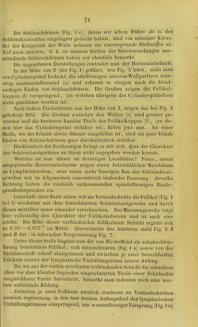 Die SchlauchdrQsen (Fig. 3 c), deren wir schon früher als in den Schleiinhaiilwällen eingelagert gedacht haben, sind von mässiger Kürze. Bei der Keilgeslalt der Wälle nehmen sie convergirende Stellungen an. Tief nach abwärts, d. h. an unleren Stellen der Seilenwandungen aus- mündende Schlauchdrüsen haben wir ebenfalls bemerkt. Die angegebenen Darstellungen controlirt nun der Horizontalscbnitt. In der Höhe von 2 (der Fig. 1) geführt, wie Fig. 5 lehrt, sieht man von Cylinderepilhel bedeckt, die slielförmigen unteren Wallparlieen netz- artig zusammenfliessend (a) und erkennt in einigen noch die blind- sackigen Enden von Schlauchdrüsen. Die Gruben zeigen die Follikel- kuppen (b) vorspringend, (an welchen übrigens das Cylinderepithelium nicht gezeichnet worden ist). Noch liefere Flachschnitte aus der Höhe von 3, zeigen das bei Fig. 6 gelieferte Bild. Die Gruben zwischen den Wällen (a) sind grösser ge- worden und die breiteren basalen Theile der FoUikelkuppen (6), (an de- nen hier das Cylinderepilhel sichtbar ist), füllen jene aus. An einer Stelle, wo der Schnitt etwas dünner ausgefallen ist, sind ein paar blinde Enden von Schlauchdrüsen quer durchschnitten sichtbar. Die Kleinheit der Zeichnungen bringt es mit sich, (^ass der Charakter des Schleimhaulgerüsles an ihnen nicht angegeben werden konnte. Welches ist nun dieser an derartigen Localilälen? Feine, etwas aüsgepinselte Horizontalschnilte zeigen einen beträchtlichen'Reichthum an Lymphkörperchen, aber einen mehr faserigen Bau des Schleimhaut- gewebes mit im Allgemeinen concentrisch laufender Faserung; dieselbe Richtung hallen die reichlich vorkommenden spindelförmigen Binde- gewebekörperchen ein. Unterhalb ihrer Basis sehen wir am Verticalschnitte die Follikel (Fig.1 bei k) wiederum mit dem benachbarten Schleimhaulgewebe und durch dieses mittelbar unter einander verschmelzen. DasMucosengewebe trägt hier vollständig den Charakter der Follikelsubstanz und ist auch eine solche. Die Höhe dieser verbindenden follikulären Schicht ergiebt sich zu 0,05 — 0,075' im Mittel. Querschnitte des letzteren stellt Fig. 2 A und B dar; in schwacher Vergrösserung Fig. 7. I Unter dieser Stelle beginnt nun der von His treffend als schuhsohlen- ' förmig bezeichnete Follikel, sich einzuschnüren (Fig. 1 n) sowie von der Nachbarschaft scharf abzugrenzen und zwischen je zwei benachbarten i Follikeln nimmt der lymphatische Umhüllungsraum seinen Anfang. Da, wo aus der vorhin erwähnten verbindenden Schicht die schmälere (dem vor dem Absätze liegenden eingeschnürten Theile einer Schuhsohle vergleichbare) Partie hervortritt, bemerkt man indessen noch eine wei- tere auffallende Bildung. Zwischen je zwei Follikeln nämlich erscheint an Verticalschnitlen /iomlich regelmässig, in den hier breiten Anfangslheil des lymphatischen ümhullungsraumcs einspringend, ein warzenförmiger Vorsprung (Fig. Im)