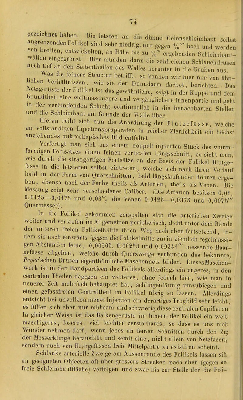 gezeichnet haben Die letzten an die dünne Colonschleimhaut selbst angrenzenden Follikel sind sehr niedrig, nur gegen hoch und w den von breiten, entwickelten, an Höhe bis zu ergebenden Schleinihaut- wallen eingegrenzt. Hier münden dann die zahlreichen Schlauchdrüsen noch lief an den Seitentheilen des Walles herunter in die Gruben aus Was die feinere Structur betrifft, so können wir hier nur von ähn- 110 len Verhältnissen, wie sie der Dünndarm darbot, berichten Das Netzgerüste der Follikel ist das gewöhnliche, zeigt in der Kuppe und dem brundtheil eine weitmaschigere und vergänglichere Innenpartie und geht in der verbindenden Schicht continuirlich in die benachbarten Stellen und die Schleimhaut am Grunde der Wälle über. Hieran reiht sich nun die Anordnung der Blutgefässe, welche an vollständigen Injectionspräparalen in reicher Zierlichkeit ein höchst anziehendes mikroskopisches Bild entfallet. Verfertigt man sich aus einem doppelt injicirten Stück des w^urm- lormigen Fortsatzes einen feinen verticalen Längsschnitt, so sieht man wie durch die strangartigen Fortsätze an der Basis der Follikel Blutge- fässe in die letzteren selbst eintreten, welche sich nach ihrem Verlauf bald in der Form von Querschnitten, bald längslaufender Röhren erge- ben, ebenso nach der Farbe theils als Arterien, theils als Venen. Die Messung zeigt sehr verschiedenes Caliber. (Die Arterien besitzen 0 01 0,0125—0,0175 und 0,03', die Venen 0,0125—0,0375 und 0 0075' Quermesser). ' In die Follikel gekommen zerspalten sich die arteriellen Zweige weiter und verlaufen im Allgemeinen peripherisch, dicht unter dem Rande der unteren freien Foliikelhälfte ihren Weg nach oben fortsetzend, in- dem sie nach einwärts (gegen die Follikelmitte zu) in ziemlich regelmässi- gen Absländen feine, 0,00205, 0,00255 und 0,00341' messende Haar- gefässe abgeben, welche durch Querzweige verbunden das bekannte, Peyer'schen Drüsen eigenlhümliche Maschennetz bilden. Dieses Maschen- werk ist in den Randpartieen des Follikels allerdings ein engeres, in den centralen Theilen dagegen ein weiteres, ohne jedoch hier, wie man in neuerer Zeit mehrfach behauptet hat, schlingenförraig umzubiegen und einen gefässfreien Centraltheil im Follikel übrig zu lassen. AHerdings entsteht bei unvollkommener Injection ein derartiges Trugbild sehr leicht; es füllen sich eben nur mühsam und schwierig diese centralen Capillaren, In gleicher Weise ist das Balkengerüsle im Innern der Follikel ein weit- maschigeres, loseres, viel leichter zerstörbares, so dass es uns nicb Wunder nehmen darf, wenn jenes an feinen Schnitten durch den Z\s, der Messerklinge herausfällt und somit eine, nicht allein von Netzfasen, sondern auch von Daargefässen freie Mittelpartie zu existiren scheint. Schlanke arterielle Zweige am Aussenrande des Follikels lassen sih an geeigneten Objecten oft Uber grössere Strecken nach oben (gegen de freie SchleimhautDäche) verfolgen und zwar bis zur Stelle der die Foi-