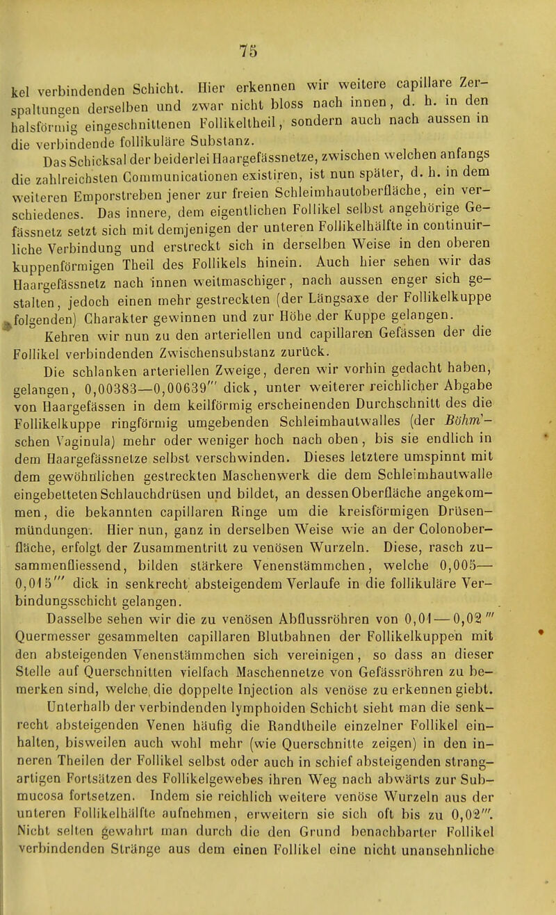 kel verbindenden Schicht. Hier erkennen wir weitere capillare Zer- spanungen derselben und zwar nicht bloss nach innen, d. h. in den halsförmig eingeschnittenen Follikeltheil, sondern auch nach aussen in die verbindende foUikuläre Substanz. Das Schicksal der beiderlei Ilaargefässnetze, zwischen welchen anfangs die zahlreichsten Gonimunicalionen existiren, ist nun später, d. h. in dem weiteren Emporstreben jener zur freien Schleimhautoberfläche, ein ver- schiedenes. Das innere, dem eigentlichen Follikel selbst angebörige Ge- fässnetz setzt sich mit demjenigen der unteren Follikelhälfte in continuir- liche Verbindung und erstreckt sich in derselben Weise in den oberen kuppenförmigen Theil des Follikels hinein. Auch hier sehen wir das Haargefässnetz nach innen weitmaschiger, nach aussen enger sich ge- stalten, jedoch einen mehr gestreckten (der Längsaxe der Follikelkuppe ^folgenden) Charakter gewinnen und zur Höhe ,der Kuppe gelangen. Kehren wir nun zu den arteriellen und capillaren Gefässen der die Follikel verbindenden Zwischensubslanz zurück. Die schlanken arteriellen Zweige, deren wir vorhin gedacht haben, gelangen, 0,00383—0,00639' dick, unter weiterer reichlicher Abgabe von Haargefässen in dem keilförmig erscheinenden Durchschnitt des die Follikelkuppe ringförmig umgebenden Schleimhautwalles (der Böhm- schen Vaginula) mehr oder weniger hoch nach oben, bis sie endlich in dem Haargefässnetze selbst verschwinden. Dieses letztere umspinnt mit dem gewöhnlichen gestreckten Maschenwerk die dem Schleimhautwalle eingebetteten Schlauchdrüsen und bildet, an dessen Oberfläche angekom- men, die bekannten capillaren Ringe um die kreisförmigen Drüsen- mündungen. Hier nun, ganz in derselben Weise wie an der Colonober- fläche, erfolgt der Zusammentritt zu venösen Wurzeln. Diese, rasch zu- sammenfliessend, bilden stärkere Venenstämmchen, welche 0,005— 0,015' dick in senkrecht absteigendem Verlaufe in die follikuläre Ver- bindungsschicht gelangen. Dasselbe sehen wir die zu venösen Abflussröhren von 0,01 — 0,02 Quermesser gesammelten capillaren Blutbahnen der Follikelkuppen mit den absteigenden Venenstämmchen sich vereinigen, so dass an dieser Stelle auf Querschnitten vielfach Maschennetze von Gefässröhren zu be- merken sind, welche, die doppelte Injeclion als venöse zu erkennen giebt. Unterhalb der verbindenden lymphoiden Schicht sieht man die senk- recht absteigenden Venen hüufig die Randtheile einzelner Follikel ein- halten, bisweilen auch wohl mehr (wie Querschnitte zeigen) in den in- neren Theilen der Follikel selbst oder auch in schief absteigenden strang- artigen Fortsätzen des Follikelgewebes ihren Weg nach abwärts zur Sub- mucosa fortsetzen. Indem sie reichlich weitere venöse Wurzeln aus der unteren Follikelhälfte aufnehmen, erweitern sie sich oft bis zu 0,02'. Nicht selten gewahrt man durch die den Grund benachbarter FoUikel verbindenden Stränge aus dem einen Follikel eine nicht unansehnliche