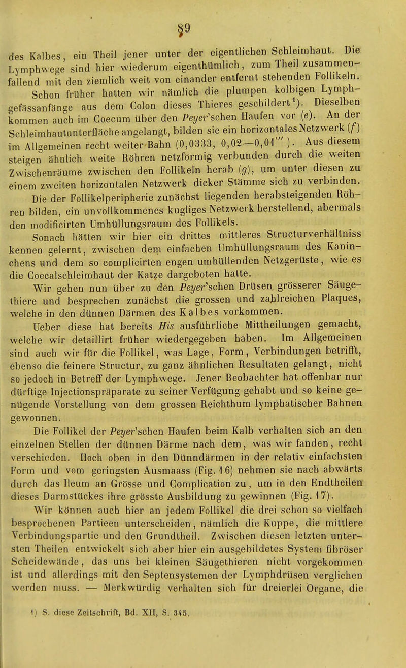 59 des Kalbes, ein Theil jener unter der eigentlichen Schleimhaut. Die Lymphwe-'e sind hier wiederum eigenthUmüch, zum Theil zusammen- fallend m\l den ziemlich weit von einander entfernt stehenden Follikeln. Schon früher hatten wir nämlich die plumpen kolbigen Lymph- gefassanfänge aus dem Colon dieses Thieres geschildert*) Dieselben kommen auch im Coecum über den Peyer'schen Haufen vor (ß). An der Schleimhaulunterfläche angelangt, bilden sie ein horizontales Netzwerk {f) im Allgemeinen recht weiter Bahn (0,0333, 0,02-0,01' ). Aus diesem steigen ahnlich weite Röhren netzförmig verbunden durch die weiten Zwischenräume zwischen den Follikeln herab {g), um unter diesen zu einem zweiten horizontalen Netzwerk dicker Stämme sich zu verbinden. Die der Follikelperipherie zunächst liegenden herabsteigenden Röh- ren bilden, ein unvollkommenes kugliges Netzwerk herstellend, abermals den modificirten Umhüllungsraum des Follikels. Sonach hätten wir hier ein drittes mittleres Structurverhältniss kennen gelernt, zwischen dem einfachen Umhüllungsraum des Kanin- chens und dem so complicirten engen umhüllenden Netzgerüste, wie es die Coecalschleimhaut der Katze dargeboten hatte. Wir gehen nun über zu den Peyer'schen Drüsen grösserer Säuge- thiere und besprechen zunächst die grossen und zahlreichen Plaques, welche in den dünnen Därmen des Kalbes vorkommen. Ueber diese hat bereits His ausführliche Mittheilungen gemacht, welche wir detaillirt früher wiedergegeben haben. Im Allgemeinen sind auch wir für die Follikel, was Lage, Form, Verbindungen betrifft, ebenso die feinere Structur, zu ganz ähnlichen Resultaten gelangt, nicht so jedoch in Betreff der Lymphwege. Jener Beobachter hat offenbar nur dürftige Injectionspräparate zu seiner Verfügung gehabt und so keine ge- nügende Vorstellung von dem grossen Reichthum lymphatischer Bahnen gewonnen. Die Follikel der Pe?/er'schen Haufen beim Kalb verhalten sich an den einzelnen Stellen der dünnen Därme nach dem, was wir fanden, recht verschieden. Hoch oben in den Dünndärmen in der relativ einfachsten Form und vom geringsten Ausmaass (Fig. 1 6) nehmen sie nach abwärts durch das Ileum an Grösse und Complication zu, um in den Endtheilen dieses Darmstückes ihre grösste Ausbildung zu gewinnen (Fig. 17). Wir können auch hier an jedem Follikel die drei schon so vielfach besprochenen Partieen unterscheiden, nämlich die Kuppe, die mittlere Verbindungspartie und den Grundtheil. Zwischen diesen letzten unter- sten Theilen entwickelt sich aber hier ein ausgebildetes System fibröser Scheidewände, das uns bei kleinen Säugelhieren nicht vorgekommen ist und allerdings mit den Septensystemen der Lymphdrüsen verglichen werden muss. — Merkwürdig verhalten sich für dreierlei Organe, die