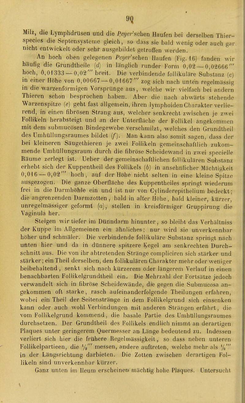 Milz, die Lymphdrüsen und die /?e/yer'schen Haufen bei derselben Thier- species die Seplensysleme gleich, so dass sie bald wenig oder auch gar nicht entwickelt oder sehr ausgebildet getroffen werden. An hoch oben gelegenen />e?/er'schen Haufen (Fig. IG) fanden wir höufig die Grundtheile {ä) in länglich runder Form 0,02 — 0,02666' hech, 0,01333 — 0,02' breit. Die verbindende follikuläre Substanz (c) in einer Höhe von 0,00667 — 0,01667' zog sich nach unten regelmassig in die warzenförmigen Vorsprünge aus, welche wir vielfach bei andern Thieren schon besprochen haben. Aber die nach abwärts stehende Warzenspitze (e) geht fast allgemein, ihren lymphoiden Charakter verlie- rend, in einen fibrösen Strang aus, welcher senkrecht zwischen je zwei Follikeln herabsteigt und an der Unterfläche der Follikel angekommen mit dem submucösen Bindegewebe verschmilzt, welches den Grundtheil des Umhüllungsraumes bildet {/). Man kann also somit sagen, dass der bei kleineren Säugethieren je zwei Follikeln gemeinschaftlich zukom- mende Umhüllungsraum durch die fibröse Scheidewand in zwei specielle Räume zerlegt ist. Ueber der gemeinschaftlichen follikulären Substanz erhebt sich der Kuppentheil des Follikels (6) in ansehnlicher Mächtigkeit 0,016 — 0,02' hoch, auf der Höhe nicht selten in eine kleine Spitze ausgezogen. Die ganze Oberfläche des Kuppentheiles springt wiederum frei in die Darmhöhle ein und ist nur von Cylinderepilhelium bedeckt; die angrenzenden Darmzotten ^ bald in alter Höhe, bald kleiner, kürzer, unregelmässiger geformt (a), stellen in kreisförmiger Gruppirung die Vaginula her. Steigen wir tiefer im Dünndarm hinunter, so bleibt das Verhällniss der Kuppe im Allgemeinen ein ähnliches; nur wird sie unverkennbar höher und schmäler. Die verbindende follikuläre Substanz springt nach unten hier und da in dünnere spitzere Kegel am senkrechten Durch- schnitt aus. Die von ihr abtretenden Stränge compliciren sich stärker und stärker; ein Theil derselben, den follikulären Charakter mehr oder weniger beibehaltend, senkt sich nach kürzerem oder längerem Verlauf in einen benachbarten Follikelgrundtheil ein. Die Mehrzahl der Forlsätze jedoch verwandelt sich in fibröse Scheidewände, die gegen die Submucosa an- gekommen oft starke, rasch aufeinanderfolgende Theilungen erfahren, wobei ein Theil der Seitenstränge in dem Follikelgrund sich einsenken kann oder auch wohl Verbindungen mit anderen Strängen erfährt, die vom Follikelgrund kommend, die basale Partie des UmhUllungsraumes durchsetzen. Der Grundtheil des Follikels endlich nimmt an derartigen Plaques unter geringerem Quermesaer an Länge bedeutend zu. Indessen verliert sich hier die frühere Regelmässigkeit, so dass neben unteren FoUikelpartieen, die %' messen, andere auftreten, welche mehr als %' in der Längsrichtung darbieten. Die Zotten zwischen derartigen Fol- likeln sind unverkennbar kürzer. Ganz unten im lleum erscheinen mächtig hohe Plaques. Untersucht