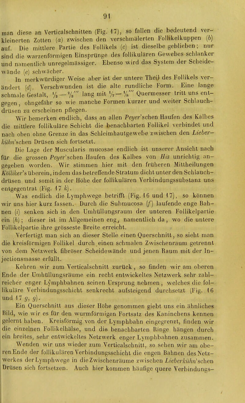 man diese an Verticalschnilten (Fig. 17), so fallen die bedeutend ver- • ; kleinerten Zotten (a) zwischen den verschmälerten Follikel kuppen [b) \ auf. Die mittlere Partie des Follikels (c) ist dieselbe geblieben; nur | sind die warzenförmigen Einsprünge des follikulären Gewebes schlanker ] und namenllicb unregelmässiger. Ebenso wird das System der Scheide- j wände (e) schwächer. i In merkwürdiger Weise aber ist der untere Thei) des Follikels ver- i ändert (rf). Verschwunden ist die alte rundliche Form. Eine lange \ schmale Gestalt, % —Ys' Jang mit Quermesser tritt uns ent- { gegen, ohngefähr so wie manche Formen kurzer und weiter Schlauch- i drüsen zu erscheinen pflegen. Wir bemerken endlich, dass an allen Pe?/er'schen Haufen des Kalbes | die mittlere follikuläre Schicht die benachbarten Follikel verbindet und i nach oben ohne Grenze in das Schleimhautgewebe zwischen den Lieber- ÄwÄ/i'schen Drüsen sich fortsetzt. Die La£:e der Muscularis mucosae endlich ist unserer Ansicht nach . für die grossen Pez/er'schen Plaufen des Kalbes von His unrichtig an- \ seoeben worden. Wir stimmen hier mit den früheren Mitlheilungen , ÄTöMer'sübereiu, indem das betreffende Stratum dicht unter den Schlauch- i drüsen und somit in der Höhe der follikulären Verbindungssubstanz uns j entgegentrat (Fig. i 7 Ä:). j Was endlich die Lymphwege betriflft (Fig.-16 und 17), so können i wir uns hier kurz fassen. Durch die Submucosa (/) laufende enge Bah- ; nen [i) senken sich in den Umhüllungsraum der unteren Follikelpartie ein [h); dieser ist im Allgemeinen engj namentlich da , wo die unlere Follikelpartie ihre grosseste Breite erreicht. \ Verfertigt man sich an dieser Stelle einen Querschnitt, so sieht man ; die kreisförmigen Follikel durch einen schmalen Zwischenraum getrennt j von dem Netzwerk fibröser Scheidewände und jenen Raum mit der In- i jectionsmasse erfüllt. j Kehren wir zum Verticalschnitt zurück, so finden wir am oberen >; Ende der Unihüllungsräume ein recht entwickeltes Netzwerk sehr zahl- | reicher enger Lymphbahnen seinen Ursprung nehmen , welches die fol- ] likuläre Verbindungsschicht senkrecht aufsteigend durchsetzt (Fig. 16 | und \1g,g). Ein Querschnitt aus dieser Höhe genommen giebt uns ein ähnliches ; Bild, wie wir es für den wurmförmigen Forlsatz des Kaninchens kennen • gelernt haben. Kreisförmig von der Lymphbahn eingegrenzt, finden wir | die einzelnen Follikelhälse, und die benachbarten Ringe hängen durch ein breites, sehr entwickeltes Netzwerk enger Lymphbahnen zusammen. . Wenden wir uns wieder zum Verticalschnitt, so sehen wir am obe- irenEnde der follikulären Verbindungsschicht die engen Bahnen des Netz- werkes der Lymphwege in die Zwischenräume zwischen/-/e6e?Vn//m'schen Drüsen sich fortsetzen. Auch hier kommen häufige quere Verbindungs- l
