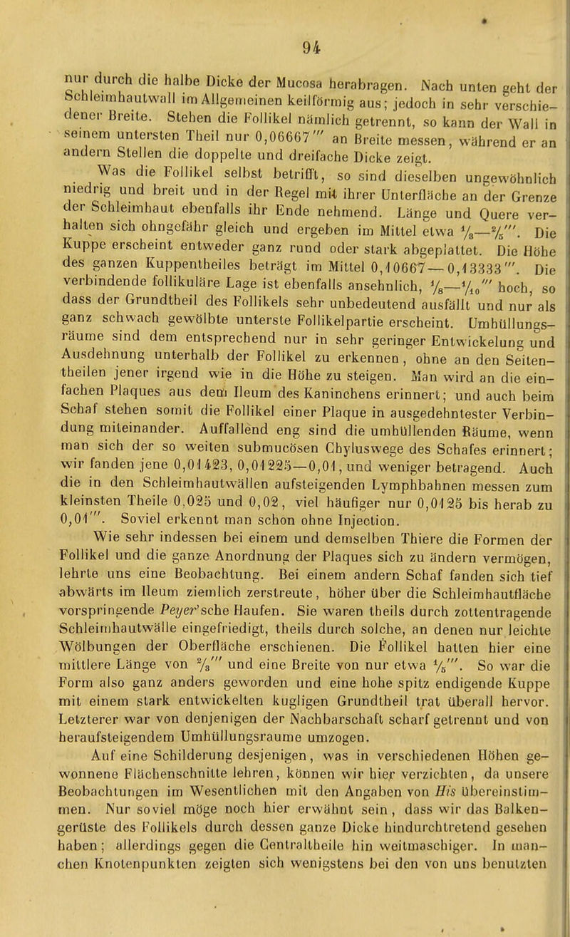 nur durch die halbe Dicke der Mucosa herabragen. Nach unten seht der Schleimhautwall im Allgemeinen keilförmig aus; jedoch in sehr verschie- dener Breite. Stehen die Follikel nämlich getrennt, so kann der Wall in semem untersten Theil nur 0,06667' an Breite messen, während er an andern Stellen die doppelte und dreifache Dicke zeigt. Was die Follikel selbst betrifft, so sind dieselben ungewöhnlich niedrig und breit und in der Regel mii ihrer ünlerfläche an der Grenze der Schleimhaut ebenfalls ihr Ende nehmend. Länge und Quere ver- halten sich ohngefähr gleich und ergeben im Mittel etwa %—%'. Die Kuppe erscheint entweder ganz rund oder stark abgeplattet. Die Höhe des ganzen Kuppentheiles beträgt im Mittel 0,106&7—0,-13333'. Die verbindende follikuläre Lage ist ebenfalls ansehnlich, %~%o' hoch so dass der Grundtheil des Follikels sehr unbedeutend ausfällt und nur als ganz schwach gewölbte unterste Follikelpartie erscheint. Umhüllungs- räume sind dem entsprechend nur in sehr geringer Entwickeluna und Ausdehnung unterhalb der Follikel zu erkennen, ohne an den Seiten- theilen jener irgend wie in die Höhe zu steigen. Man wird an die ein- fachen Plaques aus dem Ileum des Kaninchens erinnert; und auch beim Schaf stehen somit die Follikel einer Plaque in ausgedehntester Verbin- dung miteinander. Auffallend eng sind die umhüllenden Räume, wenn man sich der so weiten submucösen Chyluswege des Schafes erinnert; wir fanden jene 0,01423, 0,01225—0,01, und weniger betragend. Auch die in den Schleimhautwällen aufsteigenden Lymphbahnen messen zum kleinsten Theile 0,025 und 0,02, viel häufiger nur 0,0125 bis herab zu 0,01'. Soviel erkennt man schon ohne Injection. Wie sehr indessen bei einem und demselben Thiere die Formen der Follikel und die ganze Anordnung der Plaques sich zu ändern vermögen, lehrte uns eine Beobachtung. Bei einem andern Schaf fanden sich tief abwärts im Heum ziemlich zerstreute, höher über die Schleimhautfläche vorspringende Peyer'sche Haufen. Sie waren theils durch zottenlragende Schlein)hautwälle eingefriedigt, theils durch solche, an denen nur leichte Wölbungen der Oberfläche erschienen. Die Follikel hatten hier eine mittlere Länge von %' und eine Breite von nur etwa %'. So war die Form also ganz anders geworden und eine hohe spitz endigende Kuppe mit einem stark entwickelten kugligen Grundtheil trat überall hervor. Letzterer war von denjenigen der Nachbarschaft scharf getrennt und von heraufsteigendem Umhüllungsraume umzogen. Auf eine Schilderung desjenigen, was in verschiedenen Höhen ge- wonnene Flächenschnitte lehren, können wir hier verzichten, da unsere Beobachtungen im Wesentlichen mit den Angaben von His Ubereinstim- men. Nur soviel möge noch hier erwähnt sein, dass wir das Balken- gerüste des Follikels durch dessen ganze Dicke hindurchtretend gesehen haben; allerdings gegen die Genlraltheile hin weitmaschiger. In man- chen Knotenpunkten zeigten sich wenigstens bei den von uns benutzten