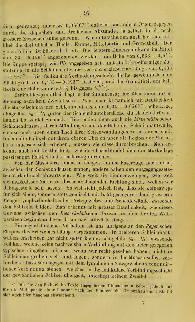 dicht gedrangt; nur etwa 0,06667' entfernt, an andern Orten dagegen durch die doppelten und dreifachen Abstünde, ja selbst durch noch grössere Zwischenräume getrennt. Wir unterscheiden auch hier am Fol- fikel die drei üblichen Theile: Kuppe, Mitlelparlie und Grundtheil. Der ganze Follikel ist höher als breit. Die letztere Dimension kann im Mitlei zu 0,33 — 0,426' angenommen werden, die Höhe von 0,533 — 0,6 . Die Kuppe springt, wie His angegeben hat, mit stark kegelförmiger Zu- spitzung in die 'Schleimhautgrube vor und ergiebt eine Länge von 0,133 — 0,227'. Die follikuläre Verbindungsschiclit dürfte gewöhnlich eine Mächtigkeil von 0,133 — 0,093' besitzen, und der Grundtheil des Fol- likels eine Höhe von etwa Ys bis gegen V/*). DerFollikelgrundlheil liegt in der Submucosa ; hierüber kann unsrer Meinung nach kein Zweifel sein. Man bemerkt nämlich mit Deutlichkeit die Muskelschicht der Schleimhaut als eine 0,04 — 0,0267' hohe Lage, ohngefähr % — ^nler der Schleimhautoberfläche durch den Drüsen- haufen horizontal ziehend. Hier enden denn auch die Lieberkühn'sehen Schlauchdrüsen, deren Mündungen auf der Höhe der Schleimhautvvälle, ebenso noch über einen Theil ihrer Seilenwandungen zu erkennen sind. Indem die Follikel mit ihren oberen Theileri über die Region der Muscu- laris mucosae sich erheben, müssen sie diese durchbrechen. Man er- kennt auch mit Deutlichkeit^ wi6 ihre Faserbündel den die Muskellage passirenden Follikeltheil kreisförmig umziehen. Von der Muscularis mucosae steigen einmal Faserzüge nach oben, zwischen den Schlauchdrüsen empor, andere hallen den entgegengesetz- ten Verlauf nach abwärts ein. Wie weit sie bindegewebiger, wie weit sie muskulöser Natur in dieser absteigenden Richtung sind, wollen wir dahingestellt sein lassen. So Viel steht jedoch fest, dass sie keinesw-egs für sich allein, sondern stets gemischt mit bald geringerer, bald grösserer Menge lymphzellenhaltenden Netzgewebes die Scheidewände zwischen den Follikeln bilden. Man erkennt mit grosser Deutlichkeit, wie dieses Gewebe zwischen den Lieberkühti'sehen Drüsen in den breiten Wall- partieen beginnt und von da an nach abwärts steigt. Ein eigenthümliches Verhalten ist uns übrigens an den i'ei/er'schen Plaques des Schweines häufig vorgekommen. In breiteren Schleimhaut- wällen erscheinen gar nicht selten kleine, ohngefähr V« —Vi' messende Follikel, welche keine nachweisbare Verbindung mit den tiefer gelegenen typischen eingehen, ebenso, wenn wir recht gesehen haben, nicht in Schleimhaulgruben sich eindrängen, sondern in der Mucosa selbst ver- bleiben. Dass sie dagegen mit dem lymphoiden Netzgewebe in continuir- licher Verbindung stehen, welches in die follikuläre Verbindungsschicht der gewöhnlichen Follikel übergeht, unterliegt keinem Zweifel. 1) Die für den Follikel im Texte angegebenen Dimensionen gelten jedoch nur für die Miltelpartie einer Plaque; nach den Rändern des Drüsenhaufens geslaltel sich auch hier Manches abweichend. 7