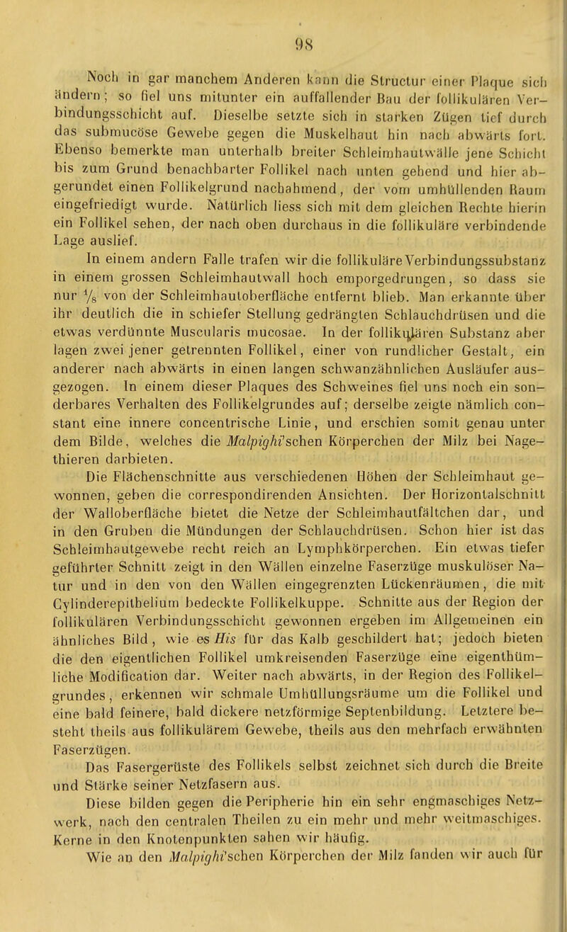 Noch in gar manchem Anderen kann die Structur einer Plaque sicii ilndern ; so fiel uns mitunter ein auffallender Bau der follikulären Ver- bindungsschicht auf. Dieselbe setzte sich in starken Zügen tief durch das submucöse Gewebe gegen die Muskelhaut hin nach abwärts fort. Ebenso bemerkte man unterhalb breiter Schleimhautwälle jene Schicht bis zum Grund benachbarter Follikel nach unten gehend und hier ab- gerundet einen Follikelgrund nachahmend, der vom umhüllenden Raum eingefriedigt wurde. Natürlich liess sich mit dem gleichen Rechte hierin ein Follikel sehen, der nach oben durchaus in die follikuläre verbindende Lage auslief. In einem andern Falle trafen wir die follikuläre Verbindungssubstanz in einem grossen Schleimhautwall hoch emporgedrungen, so dass sie nur Ys von der Schleimhautoberfläche entfernt blieb. Man erkannte über ihr deutlich die in schiefer Stellung gedrängten Schlauchdrüsen und die etwas verdünnte Muscularis mucosae. In der follikqlären Substanz aber lagen zwei jener getrennten Follikel, einer von rundlicher Gestalt, ein anderer nach abwärts in einen langen schwanzähnlichen Ausläufer aus- gezogen. In einem dieser Plaques des Schweines fi,el uns noch ein son- derbares Verhalten des FoUikelgrundes auf; derselbe zeigte nämlich con- stant eine innere concentrische Linie, und erschien somit genau unter dem Bilde, welches die Malpighi'scheu Körperchen der Milz bei Nage- thieren darbieten. Die Flächenschnitte aus verschiedenen Höhen der Schleimhaut ge- wonnen, geben die correspondirenden Ansichten. Der Horizonlalschnitt der WalloberOäche bietet die Netze der Schleimhautfältchen dar, und in den Gruben die Mündungen der Schlauchdrüsen. Schon hier ist das Schleimhaulgewebe recht reich an Lymphkörperchen. Ein etwas tiefer geführter Schnitt zeigt in den Wällen einzelne Faserzüge muskulöser Na- tur und in den von den Wällen eingegrenzten Lückenräumen, die nut- Cylinderepithelium bedeckte Follikelkuppe. Schnitte aus der Region der follikulären Verbindungsschicht gewonnen ergeben im Allgemeinen ein ähnliches Bild, wie es His für das Kalb geschildert hat; jedoch bieten die den eigentlichen Follikel umkreisenden FaserzUge eine eigenthüm- liche Modification dar. Weiter nach abwärts, in der Region des FoUikel- grundes, erkennen wir schmale Umhüllungsräume um die Follikel und eine bald feinere, bald dickere netzförmige Septenbildung. Letzlere be- steht theils aus follikulärem Gewebe, theils aus den mehrfach erwähnten Faserzügen. Das Fasergerüste des Follikels selbst zeichnet sich durch die Breite und Stärke seiner Netzfasern aus. Diese bilden gegen die Peripherie hin ein sehr engmaschiges Netz- werk, nach den centralen Theilen zu ein mehr und mehr weitmaschiges. Kerne in den Knotenpunkten sahen wir häufig. Wie aq den Malpighi'sehen Körperchen der Milz fanden wir auch für