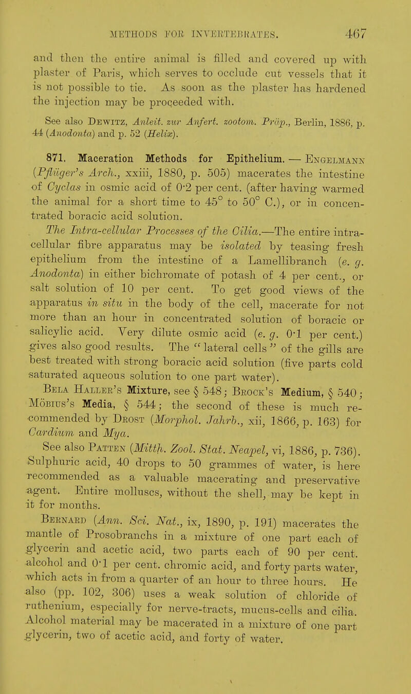 and then the entire animal is filled and covered up with plaster of Paris, Avhich serves to occlude cut vessels that it is not possible to tie. As soon as the plaster has hardened the injection may be proqeeded with. See also Dewitz, Anleit. zicr Anfert. zootom. Prop., Berlin, 1886. p. 44 (Anodonta) and -p. 52 (Helix). 871. Maceration Methods for Epithelium. — Engelmank {Pfliicjer's Arch., xxiii, 1880, p. 505) macerates the intestine of Cyclas in osmio acid of 0*2 per cent, (after having warmed the animal for a short time to 45° to 50° C), or in concen- trated boracic acid solution. The Intra-cellular Processes of the Gilia.—The entire intra- cellular fibre apparatus may be isolated by teasing fresh epithelium from the intestine of a Lamellibranch (e. g. Anodonta) in either bichromate of potash of 4 per cent., or salt solution of 10 per cent. To get good views of the apparatus in situ in the body of the cell, macerate for not more than an hour in concentrated solution of boracic or salicylic acid. Very dilute osmic acid (e. g. O'l per cent.) gives also good results. The lateral cells of the gills are best treated with strong boracic acid solution (five parts cold saturated aqueous solution to one part water). Bela Hallee's Mixture, see § 548; Beock's Medium, § 540; MoBius's Media, § 544; the second of these is much re- commended by Deost {Morphol. Jahrh., xii, 1866, p. 163) for Cardium and My a. See also Patten [Wlitth. Zool. Stat. Neapel, vi, 1886, p. 736). Sulphuric acid, 40 drops to 50 grammes of water, is here recommended as a valuable macerating and preservative agent. Entire molluscs, without the shell, may be kept in it for months. Beenaed {Ann. Sci. Nat., ix, 1890, p. 191) macerates the mantle of Prosobranchs in a mixture of one part each of .glycerin and acetic acid, two parts each of 90 per cent, alcohol and O'l per cent, chromic acid, and forty parts water, which acts in from a quarter of an hour to three hours. He also (pp. 102, 306) uses a weak solution of chloride of ruthenium, especially for nerve-tracts, mucus-cells and cilia. Alcohol material may be macerated in a mixture of one part glycerin, two of acetic acid, and forty of water.