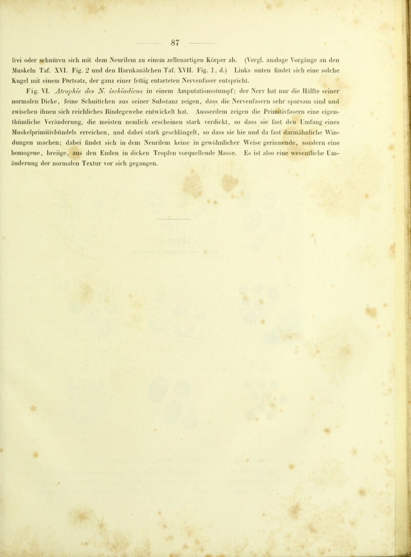 frei oder schnüren sich mit dem Neurilem zu einem zellenartigen Körper ah. (Vergl. analoge Vorgänge an den Muskeln Tal'. XVI. Fig. 2 und den Harnkanälchen Tai'. XVII. Fig. 1, d.) Links unten findet sich eine solche Kugel mit einem Fortsatz, der ganz einer fettig entarteten Nervenfaser entspricht. Fig. VI. Atrophie des N. ischiadicus in einem Amputationsstumpf; der Nerv hat mir die Hälfte seiner normalen Dicke, feine Schnittchen aus seiner Suhstanz zeigen, dass die Nervenfasern sehr sparsam sind und zwischen ihnen sich reichliches Bindegewehe entwickelt hat. Ausserdem zeigen die Primitivfasern eine eigen- tlnimliche Veränderung, die meisten nemlich erscheinen stark verdickt, so dass sie fast den Umfang eines Muskelprimitivbündels erreichen, und dabei stark geschlängelt, so dass sie hie und da fast darmähnliche Win- dungen machen; dabei findet sich in dem Neurilem keine in gewöhnlicher Weise gerinnende, sondern eine homogene, breiige, aus den Enden in dicken Tropfen vorquellende Masse. Es ist also eine wesentliche Um- änderung der normalen Textur vor sich gegangen.