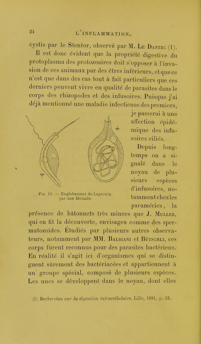 L INFLAMMATION. cystis par le Stentor, observé par M. Le Dantec (1). Il est donc évident que la propriété digestive du protoplasma des protozoaires doit s'opposer à l'inva- sion de ces animaux par des êtres inférieurs, et que ce n'est que dans des cas tout à fait particuliers que ces derniers peuvent vivre en qualité de parasites dans le corps des rhizopodes et des infusoires. Puisque j'ai déjà mentionné une maladie infectieuse des premiers, je passerai à une affection épidé- mique des infu- soires ciliés. Depuis long- temps on a si- gnalé dans le noyau de plu- sieurs espèces d'infusoires, no- taramentchezles paramécies, la présence de bâtonnets très minces que J. Muller, qui en fit la découverte, envisagea comme des sper- matozoïdes. Etudiés par plusieurs autres observa- teurs, notamment par MM. Balbiani et BiItschli, ces corps furent reconnus pour des parasites bactériens. En réalité il s'agit ici d'organismes qui se distin- guent sûrement des bactériacées et appartiennent à un groupe spécial, composé de plusieurs espèces. Les unes se développent dans le noyau, dont elles FiG. 10. — Englobement du Leptotrix par une Monade. (1) Recherclies sur la digestion intracellulaire. Lille, 1891, p. 53.