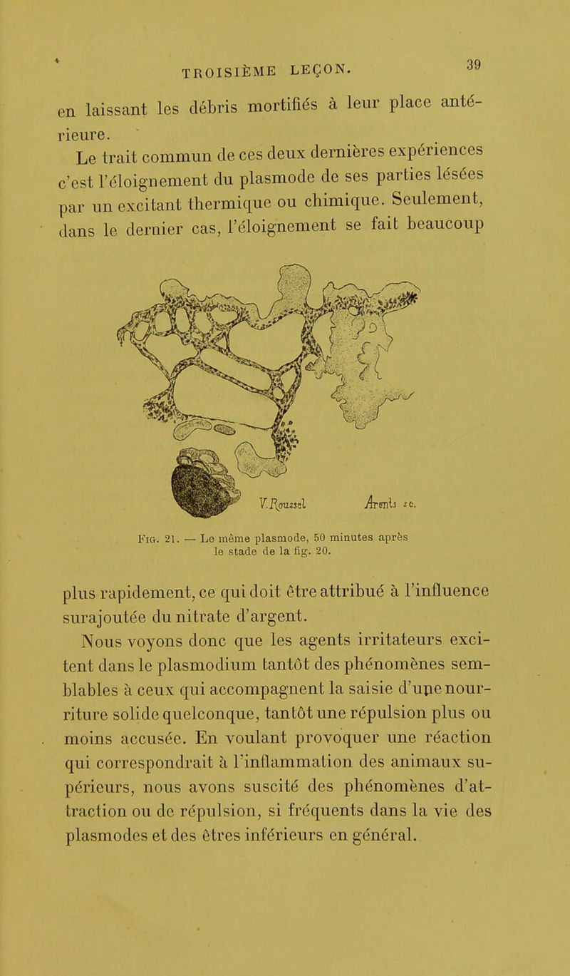 en laissant les débris mortifiés à leur place anté- rieure. Le trait commun de ces deux dernières expériences c'est l'éloignement du plasmode de ses parties lésées par un excitant thermique ou chimique. Seulement, dans le dernier cas, l'éloignement se fait beaucoup FiG. 21. — Le même plasmode, 50 minutes après le stade de la flg. 20. plus rapidement, ce qui doit être attribué à l'influence surajoutée du nitrate d'argent. Nous voyons donc que les agents irritateurs exci- tent dans le plasmodium tantôt des phénomènes sem- blables à ceux qui accompagnent la saisie d'upe nour- riture solide quelconque, tantôt une répulsion plus ou moins accusée. En voulant provoquer une réaction qui correspondrait à l'inflammation des animaux su- périeurs, nous avons suscité des phénomènes d'at- traction ou de répulsion, si fréquents dans la vie des plasmodcs et des êtres inférieurs en général.