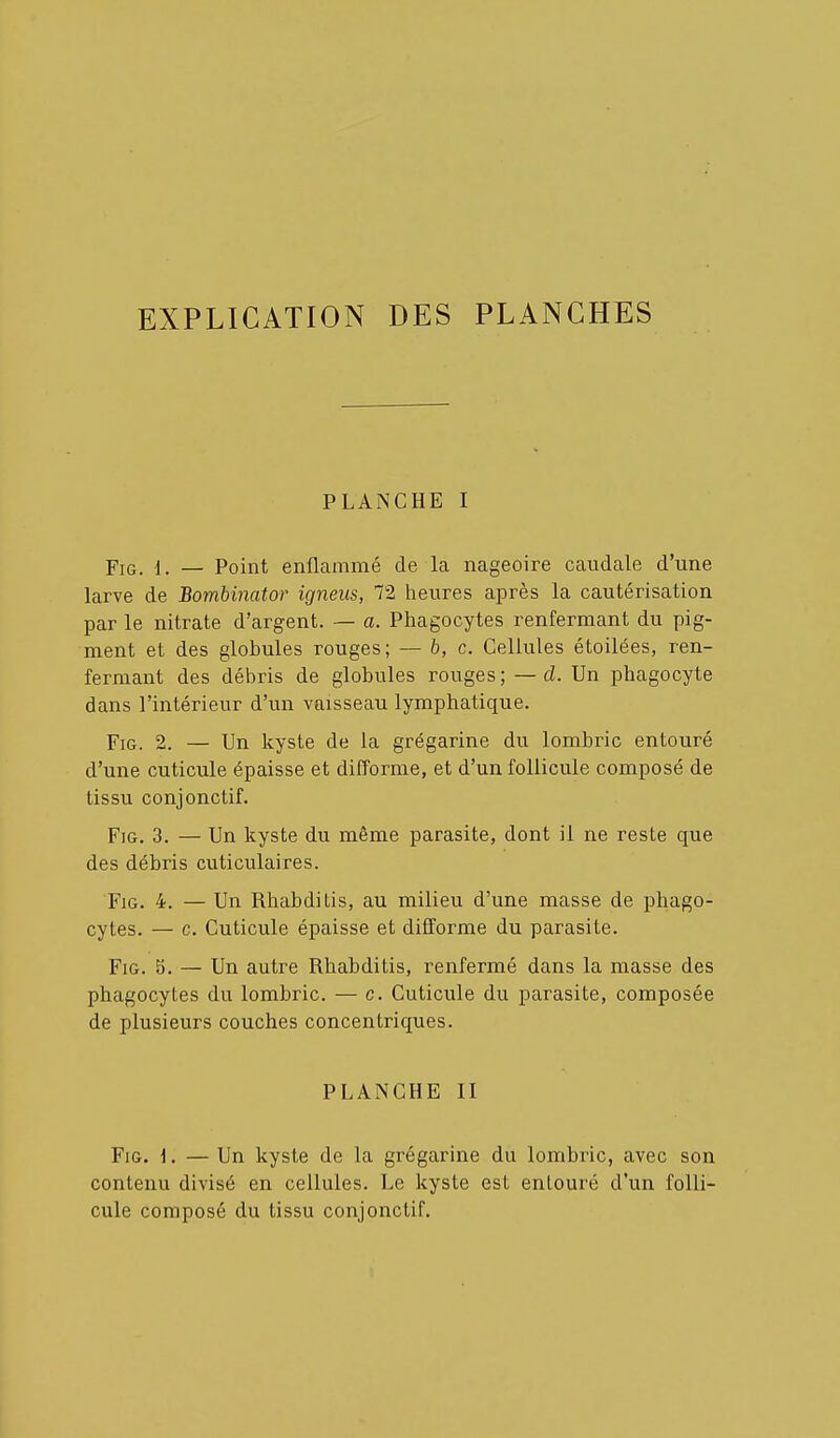 EXPLICATION DES PLANCHES PLANCHE I FiG. 1. — Point enflammé de la nageoire caudale d'une larve de Bombinator igneus, 72 heures après la cautérisation par le nitrate d'argent. — a. Phagocytes renfermant du pig- ment et des globules rouges; — b, c. Cellules étoilées, ren- fermant des débris de globules rouges ; — cl. Un phagocyte dans l'intérieur d'un vaisseau lymphatique. FiG. 2. — Un kyste de la grégarine du lombric entouré d'une cuticule épaisse et difforme, et d'un follicule composé de tissu conjonctif. FiG. 3. — Un kyste du même parasite, dont il ne reste que des débris cuticulaires. FiG. 4. — Un Rhabditis, au milieu d'une masse de phago- cytes. — c. Cuticule épaisse et difforme du parasite. FiG. 5, — Un autre Rhabditis, renfermé dans la masse des phagocytes du lombric. — c. Cuticule du parasite, composée de plusieurs couches concentriques. PLANCHE II FiG. \. — Un kyste de la grégarine du lombric, avec son contenu divisé en cellules. Le kyste est entouré d'un folli- cule composé du tissu conjonctif.