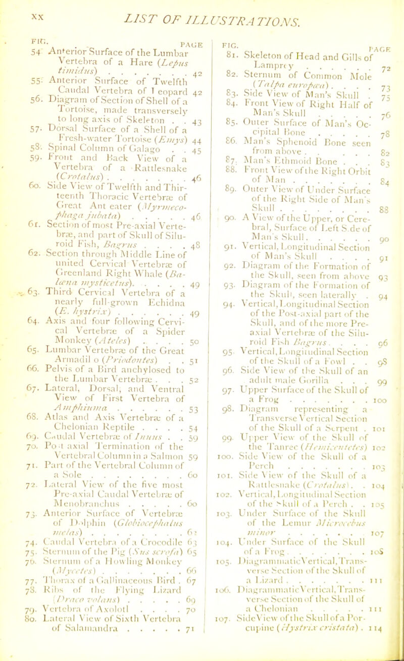 . . PAGE 54 -Antenor Surface of the Lumbar Vertebra of a Hare {LeJ>us tiiiiiiliis) ^2 55. Anterior Surface of Twelfth Caudal Vertebra of I eopard 42 56. Diagram ofSection of Shell of a Tortoise, made transversely to long axis of Skeleton . . 43 57- Dorsal Surface of a Shell of a Fresh-H-ater Tortoise {Eiiiys) 44 58. Spinal Column of Galago . , 45 59. FroTit and i-!ack \'iew of a Vertebra of a Rattlesnake (Crn/ir/iis) 46 60. Side View of Twelfth and Thir- teenth Thoracic Verte'^rfe of Cb-eat Ant eater (Myriiuro- pluiga jiibata) 46 Ci. Section of most Pre-axial Verle- brai, and part of Skull of Silu- roid Fisli, Ba^riis . . . . 4S 62. Section through Middle Line of luiited Cervical Vertebra: of Circenland Right Whale {Ba- licna iiiystketiis) 49 , 63. Third Cervical Vertcb}-a of a nearly full-grown Kchidna (E. hystyi.x) 49 64. Axis and four following Cervi- cal Vertebra: of a Spider Monkey {Atcles) .... 50 65. Lumbar Vertebrae of the Great Arinadil o (Prii'i/oitfes) . . 51 66. Pelvis of a Bird anchylosed to the Lumbar Vertebra; ... 52 67. Lateral, Dorsal, and Ventral View of First Vertebra of A luphiinua 53 6S. Atlas and Axis Vertebra; of a Chelonlan Reptile .... 54 69. Cnudal Vertebra; of////(■?/.? . . 59 70. Po-I axial ']'ermination of the Vertebral Column in a .Salmon 59 71. Part of the Vertebral Column of a .Sole Go 72. Lateral View of the five most Pro-axial Caudal Vertebne of Rlenobranchus 60 7j. Anterior Sin-face of Verlebne of J).'lphiu (Glohioct-J'hitliis jiif/iis) 6 ? 74. Caudal Vcrlcbr.i of a Crocodile 6.i 75. Stennun of the Pig (.S'«,i .vn'fo) 65 70. Slerniun of a H uwling M onkev (.J/ir,-A-,v) 66 77. 'I'liorax of .a (lallinaceous Hird . 67 73. Ribs of ihe J''lying Lizard {/h'itiV -'r^/tutx) 60 79. Vertebra of AxolotI .... 70 80. Laleral View of Sixth N'ertebra of Salamandra 71 90. 91, 92. 93- 9-1- 95- 96. 97- 98. 99 100. lOI. 102. TO ^. :o6. 107. PACE Skeleton of Head and Gills of Lampr( y Sternum of Common Mole (Tnlfia eii7-ppcca) . . . . 7^ Side View of Man's Skidl '. 75 Front View of Right Half of Man's .Skull -fi Outer Siu-face of Man's Oc- cipital Bone 78 Man's Sphenoid Rone seen from above . . ... 82 ; Man's Ethmoid Bone ... 83 Front View of the Right Orbit of Man g. Outer View of Under Surface * of the Right Side of M .Sktdl 88 A View of the Upper, or Cere- bral, Sm-face of Left S.de of Man s Skull go Vertical. Longitudinal Section of Man's Skull .... 91 Diagram of the Formation of the Skull, seen from above 93 Diagram of the Formation of the Skull, seen laterally . 94 \ ertleal,Longitudinal Section of the Post-axial part of the .Skull, and of ihemore Pre- axial Verichra; of the Silu- roicl Fish Bd^rus. ... 96 Vertical.Longiiudinal .Section of the Skuil of a Fowl . , 9,8 Side View of the .Skull of an adidt male Gorilla ... 99 Upper Surface of the Skull of a Frog 100 r)iagram representing a Transverse^'ertical Section of the Skull of a .Serpent . 101 Upper View of the Skull of the 'I'am-ec {flt-mi^i'iitctrs) lor .Side View of the .Skull of a Perch 10; Side \ )c^^' of ibc Skull (*r ii Ratllcsiinkc {Crotii/us). . 104 Vertical. Longinnliii.'il Section of thc VkuM of .1 IVrcli . . 105 Uiulor Surface of ihe Skull of the Lemur Mj\ r,\ r/^us im'/for 107 Umlcr Surface of the Skull of a Krog loS J )iagraniinatic\'erilcal. Trans- vc'i sc Scciiou of the Skull of a I .izanl 111 J)ia,cr:nuuialic\'(TticaI.'rraiis- vci>c Scciiou of llic Skull of a Chclouiau 111 Side View of ihc Skull of a IVr- cui'ine (r/ystn.v cn'sfntn) . 114