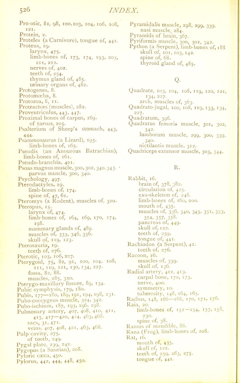 Pro-otic, 81, 98, 100,103, i°4i 106, 108, 121. Protein, 2. Proteles (a Carnivore), tongue of, 441. Proteus, ig. larynx, 475. limb-bones of, 173, 174, 193, 203, 2it, 212. nerves of, 402. teeth of, 254. thymus gland of, 485. urinary organs of, 482. Protogenes, 8. Protomosba, 8. Protozoa, S, 11. Protractors (muscles), 282. Proventriculus, 443, 447. Proximal bones of carpus, 169. of tarsus, 205. Psalteriiim of Sheep's stomach, 443, 444. Psammosaurus (a Lizard), 195. limb-bones of, 165. Pseudis (an Anourous Batrachian), limb-bones of, 161. Pseudo-branchia, 421. Psoas magnus muscle, 300,302,340,343. • parvus muscle, 300, 340. Psychology, 497. Pterodactyles, ig. limb-bones of, 174. spine of, 47, 61. Pteromys (a Rodent), muscles of, 320. Pteropus, 15. larynx of, 474. limb-bones of, 164, 169, 170, 174, 198. mammary glands of, 4S9. muscles of, 333, 346, 356. skull of, 119, 123. Pterosauria, ig. teeth of, 276. Pterotic, 103, 106, 227. Pterygoid, 75, 82, gi, 100, 104, 108, III, iig, 121, 130, 134, 227. fossa, 82, 88. muscles, 285, 310. Pterygo-maxillary fissure, 8g, 134. Pubic symphysis, 179, 180. Pubis, 177—tSo, i8g, tgi, 194, 19S, 2.51- Pubo-coccygeus muscle, 324, 342. Pubo-iscliium, 187, 193, 196, igS. Pulmonary artery, 407, 408, 4ic\ 411, 415. 417—420. -('4. 4<jji 4t'S. .sacs, 31, 471. veins. 407, 408, 421, 4O3, 468. Pulp cavity, 275. of loolli, 249. Pygal plate. 239, 2.(2■ Pygdpus (a .Saurian), 208. Pyloric cxca, 450. Pylorus, 442, 444. 448, 450. Pyramidalis muscle, 298, 299, 339. nasi muscle, 284. Pyramids of brain, 367. Pyriformis muscle, 300, 301, 342. Python (a .Serpent), limb-bones of, i skull of. loi, 103, 142. spine of, 68. thyroid gland of, 485. Q. Quadrate, 103, 104, 108, 119, 120, 12 134, 227. arch, muscles of, 363. Quadrato-jugal, 100, 108, 119, 133, 134 227. Quadratum, 396. Quadratus femoris muscle, 301, 302 342. lumborum muscle, 299, 300, 339 .340- nictilantis muscle, 312. Quadriceps extensor muscle, 303, 344. R. Rabbit, i6. brain of, 378, 382. circulation of, 425. exo-skeleton of, 24S. limb-bones of, 160, 200. mouth of, 435. muscles of, 336, 340, 345, 351, 353 354. 357. 358. pancreas of, 449- skull of, 122. teeth of, 259. tongue of, 441. Rachiodon (a Serpent), 42. teeth of, 276. Racoon, 16. muscles of. 339. skull of. 136. Radial artery, 412. 413. carpal bone, 170, 175. nerve, 400. symmetry, 10. tuberosity, 148, 164, 165. Radius, 148, 166—1(58, 170, 171, 17(1. Raia. 20. limb-bones of, 152 — 154, 157, 15S. 230. spine of, 38. Ramus of ni.Tndible. 86. Rana (Frog), linib-boncs of, 20S. Rat, 16. mouth of, 435. skull of, 122. teeth of, 259. 263, 275. tongue of, 441.