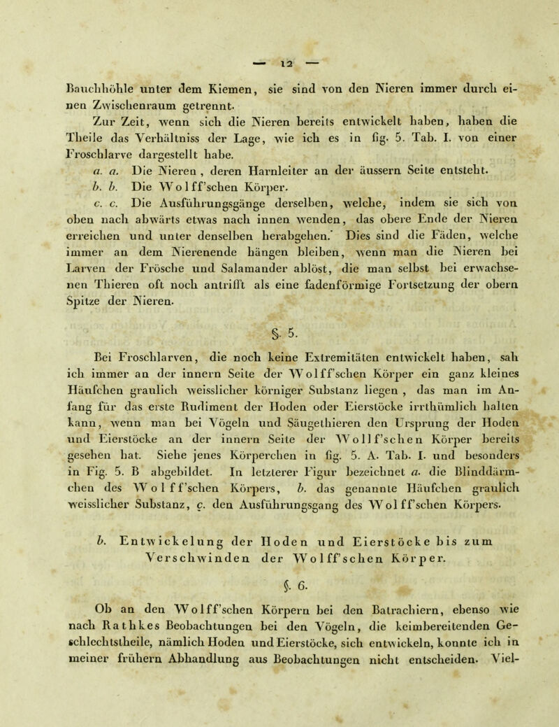 Bauchhöhle unter dem Kiemen, sie sind von den Nieren immer durch ei- nen Zwischenraum getrennt. Zur Zeit, wenn sich die Nieren bereits entwickelt haben, haben die Theile das Verhältniss der Lage, wie ich es in fig. 5. Tab. L von einer Froschlarve dargestellt habe. a. a. Die Nieren , deren Harnleiter an der äussern Seite entsteht. b. b. Die Wo 1 ff'schen Körper. c. c. Die Ausfuhrungsgänge derselben, welche, indem sie sich von oben nach abwärts etwas nach innen wenden, das obere Ende der Nieren erreichen und unter denselben herabgehen. Dies sind die Fäden, welche immer an dem Nierenende hängen bleiben, wenn man die Nieren bei Larven der Frösche und Salamander ablöst, die man selbst bei erwachse- nen Thieren oft noch antrifft als eine fadenförmige Fortsetzung der obern Spitze der Nieren. S- 5. Bei Froschlarven, die noch keine Extremitäten entwickelt haben, sah ich immer an der innern Seile der Wolff'schen Körper ein ganz kleines Häufchen graulich weisslicher körniger Substanz liegen , das man im An- fang für das erste Rudiment der Hoden oder Eierstöcke irrthümlich hallen kann, wenn man bei Vögeln und Säugeihieren den Ursprung der Hoden und Eierstöcke an der innern Seite der Wo 11 f'sehen Körper bereits gesehen hat. Siehe jenes Körperchen in fig. 5. A. Tab. I. und besonders in Fig. 5. B abgebildet. In letzlerer Figur bezeichnet a- die Blinddärm- chen des W o 1 f f'sehen Körpers, b. das genannte Häufchen graulich weisslicher Substanz, c. den Ausführungsgang des Wol ff'schen Körpers. b. Entwickelung der Hoden und Eierstöcke bis zum Verschwinden der Wolff'schen Körper. §. 6. Ob an den Wolff'schen Körperu bei den Batrachiern, ebenso wie nach Rathkes Beobachtungen bei den Vögeln, die keimbereitenden Ge- schlechtstheile, nämlich Hoden und Eierstöcke, sich entwickeln, konnte ich in meiner frühern Abhandlung aus Beobachtungen nicht entscheiden. Viel-