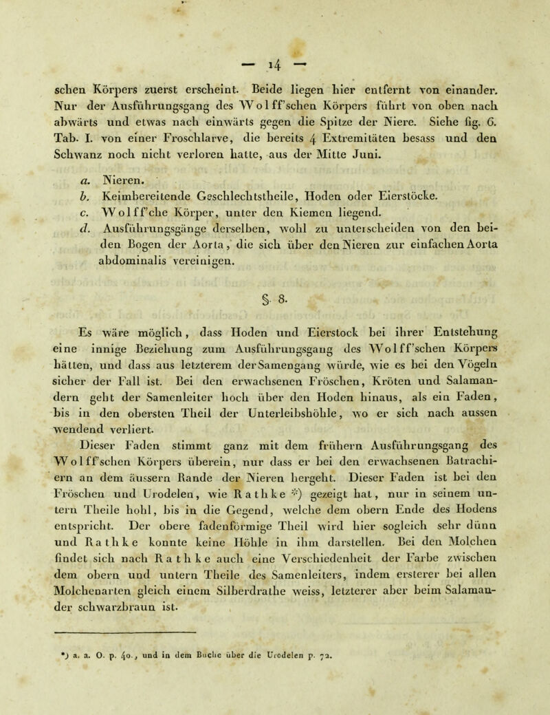 - 4 - sehen Körpers zuerst erscheint. Beide liegen liier entfernt von einander. Nur der Ausführungsgang des Wo 1 ff'sehen Körpers führt von ohen nach ahwärts und etwas nach einwärts gegen die Spitze der Niere. Siehe Hg. 6. Tab. I. von einer Froschlarve, die bereits 4 Extremitäten besass und den Schwanz noch nicht verloren hatte, aus der Mitte Juni. a. Nieren. b. Keimbereitende Geschlechtstheile, Hoden oder Eierstöcke. c. Wolff'che Körper, unter den Kiemen liegend. d. Ausführungsgänge derselben, wohl zu unterscheiden von den bei- den Bogen der Aorla, die sich über den Nieren zur einfachen Aorta abdominalis vereinigen. § 8. Es wäre möglich, dass Hoden und Eierstock bei ihrer Entstehung eine innige Beziehung zum Ausführungsgang des Wolff'schen Körpers hätten, und dass aus letzterem der Samengang würde, wie es bei den Vögeln sicher der Fall ist. Bei den erwachsenen Fröschen, Kröten und Salaman- dern gebt der Samenleiter hoch über den Hoden hinaus, als ein Faden, bis in den obersten Theil der Unterleibshöhle, wo er sich nach aussen wendend verliert. Dieser Faden stimmt ganz mit dem frühern Ausführungsgang des Wolff'schen Körpers überein, nur dass er bei den erwachsenen Batrachi- ern an dem äussern Bande der Nieren hergeht. Dieser Faden ist bei den Fröschen und Urodelen, wie Rathke *) gezeigt hat, nur in seinem un- tern Theile hohl, bis in die Gegend, welche dem obern Ende des Hodens entspricht. Der obere fadenförmige Theil wird hier sogleich sehr dünn und Rathke konnte keine Höhle in ihm darstellen. Bei den Molchen findet sich nach Rathke auch eine Verschiedenheit der Farbe zwischen dem obern und untern Theile des Samenleiters, indem ersterer bei allen Molchenarten gleich einem Silberdrathe weiss, letzterer aber beim Salaman- der schwarzbraun ist. *) a. a. O. p. 4°und in dem Buclie über die Urodelen p. 7a.