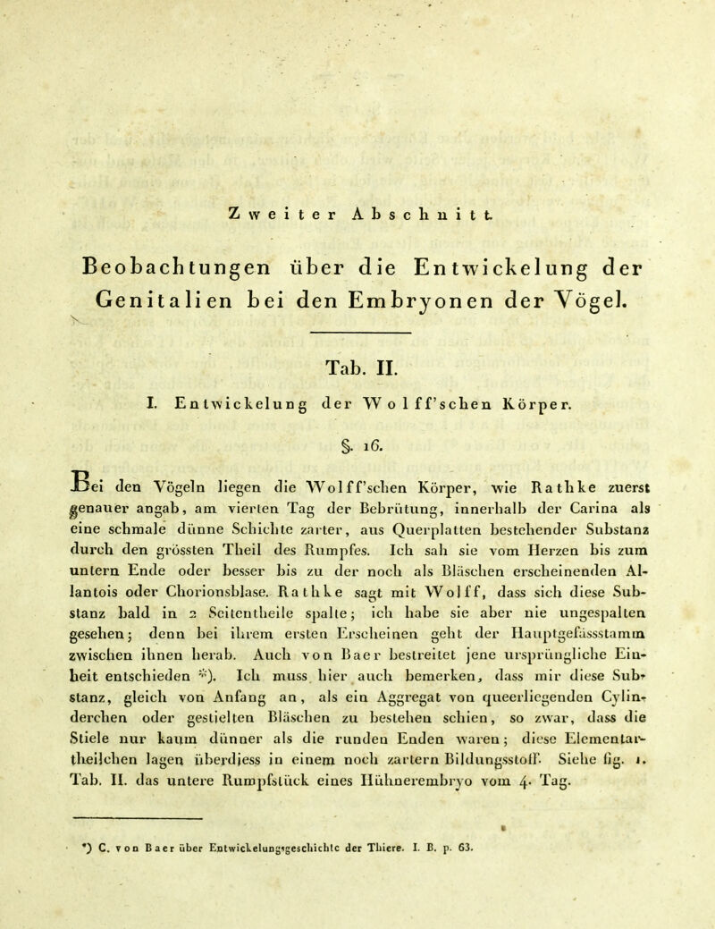 Zweiter Abschnitt Beobachtungen über die En twiekelung der Genitalien bei den Embryonen der Vögel. Tab. II I. Enlwickelung der Wo 1 ff'schen Körper. §• 16. Bei den Vögeln liegen die Wolff'schen Körper, wie Rathke zuerst genauer angab, am vierten Tag der Bebriitung, innerhalb der Carina als eine schmale dünne Schichte zarter, aus Querplatten bestehender Substanz durch den grössten Theil des Rumpfes. Ich sah sie vom Herzen bis zum untern Ende oder besser bis zu der noch als Bläschen erscheinenden AI- lantois oder Chorionsblase. Rathke sagt mit Wojff, dass sich diese Sub- stanz bald in 2 Seiten theile spähe; ich habe sie aber nie ungespalten gesehen; denn bei ihrem ersten Erscheinen geht der Hauptgefässstamm zwischen ihnen herab. Auch von Baer bestreitet jene ursprüngliche Eiu- heit entschieden Ich muss hier auch bemerken, dass mir diese Subr stanz, gleich von Anfang an, als ein Aggregat von queerliegenden Cylin- derchen oder gestielten Bläschen zu bestehen schien, so zwar, dass die Stiele nur kaum dünner als die runden Enden waren; diese Elementar theilchen lagen überdiess in einem noch zartem BildungsstolF- Siehe lig. 1. Tab. II. das unteie Ruropfslück eines Ilühnerembryo vom 4- ^ag> *) C. von Baer über Entwickelung<gescliichtc der Tliiere. I. B. p. 63.