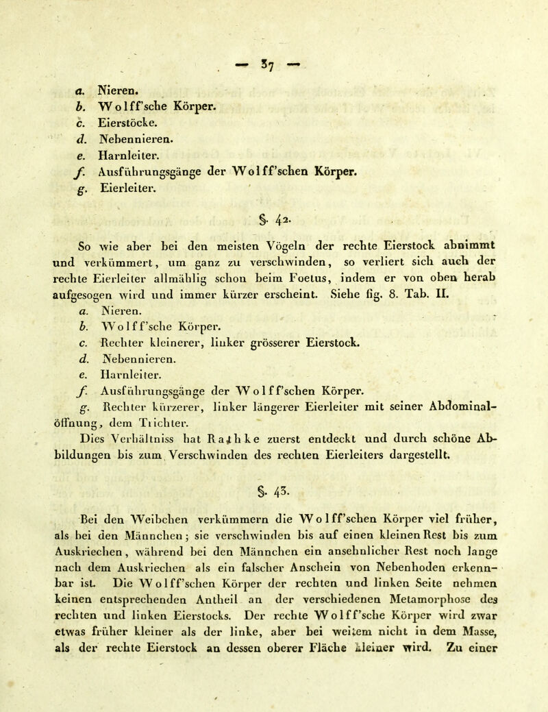 a. Nieren. b. Wolff'sctie Körper. c. Eierstöcke. d. Neben nierea. e. Harnleiter. f. Ausführungsgänge der Wo 1 ff'sehen Körper. g. Eierleiter. §• 4* So wie aber bei den meisten Vögeln der rechte Eierstock abnimmt und verkümmert, um ganz zu verschwinden, so verliert sich auch der rechte Eierleiler allmählig schon beim Foetus, indem er von oben herab aufgesogen wird und immer kürzer erscheint. Siehe fig, 8. Tab. II. a. Nieren. b. Wolff'sche Körper. c. Rechter kleinerer, linker grösserer Eierstock. d. Nebennieren. e. Harnleiter. f. Ausführungsgänge der Wolff'schen Körper. g. Rechter kürzerer, linker längerer Eierleiler mit seiner Abdominal- Öffnung, dem Tiichter. Dies Verbal tniss hat Ra^hke zuerst entdeckt und durch schöne Ab- bildungen bis zum Verschwinden des rechten Eierleiters dargestellt. §. 43. Bei den Weibchen verkümmern die Wolff'schen Körper viel früher, als bei den Männchen; sie verschwinden bis auf einen kleinen Rest bis zum Auskriechen , während bei den Männchen ein ansehnlicher Rest noch lange nach dem Auskriechen als ein falscher Anschein von Nebenhoden erkenn- bar ist. Die Wolff'schen Körper der rechten und linken Seite nehmen keinen entsprechenden Antheil an der verschiedenen Metamorphose des rechten und linken Eierstocks. Der rechte Wolff'sche Körper wird zwar etwas früher kleiner als der linke, aber bei weiiem nicht in dem Masse, als der rechte Eierstock an dessen oberer Fläche kleiner wird. Zu einer