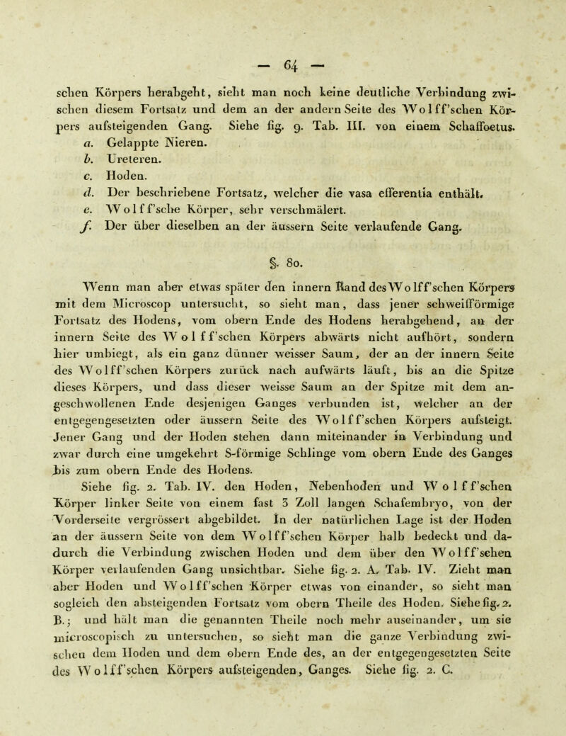 sclien Körpers herabgeht, sieht man noch keine deutliche Verbindung zwi- schen diesem Fortsatz und dem an der andern Seite des Wo 1 ff'sehen Kör- pers aufsteigenden Gang. Siehe fig. 9. Tab. III. von einem Schaffbetus. a. Gelappte Nieren. b. Ureteren. c. Hoden. d. Der beschriebene Fortsatz, welcher die vasa efferentia enthält« e. Wolff'sche Körper, sehr verschmälert. f. Der über dieselben an der äussern Seite verlaufende Gang, §. 80. Wenn man aber etwas später den innern Rand desWo lff'schen Körper» mit dem Mici^oscop untersucht, so sieht man, dass jener schweifförmige Fortsatz des Hodens, vom obern Ende des Hodens herabgehend, an der innern Seite des Wolff'schen Körpers abwärts nicht aufbort, sondern liier umbiegt, als ein ganz dünner weisser Saum, der an der innern Seite des Wolff'schen Körpers zurück nach aufwärts läuft, bis an die Spitze dieses Körpers, und dass dieser weisse Saum an der Spitze mit dem an- geschwollenen Ende desjenigen Ganges verbunden ist, welcher an der entgegengesetzten oder äussern Seite des Wolff'schen Körpers aufsteigt. Jener Gang und der Hoden stehen dann miteinander in Verbindung und zwar durch eine umgekehrt S-förmige Schlinge vom obern Ende des Ganges Jjis zum obern Ende des Hodens. Siehe fig. 2. Tab. IV. den Hoden, Nebenhoden und Wolff'schen Xörper linker Seite von einem fast 3 Zoll langen Schafembryo, von der Vorderseile vergrössert abgebildet. In der natürlichen Lage ist der Hoden an der äussern Seite von dem Wolff'schen Körper halb bedeckt und da- durch die Verbindung zwischen Hoden und dem über den Wolff'sehen Körper verlaufenden Gang unsichtbar. Siehe ßg. 2. A, Tab. IV. Zieht man aber Hoden und Wolff'schen Körper etwas von einander, so sieht man sogleich den absteigenden Fortsatz vom obern Tbeile des Hoden. Siehe fig, 2. B.; und hält man die genannten Theile noch mehr auseinander, um sie microscopi&ch zu untersuchen, so sieht man die ganze Verbindung zwi- schen dem Hoden und dem obern Ende des, an der entgegengesetzten Seite des YV 01 ff'sehen Körpers aufsteigenden, Ganges. Siehe fig. 2. C.