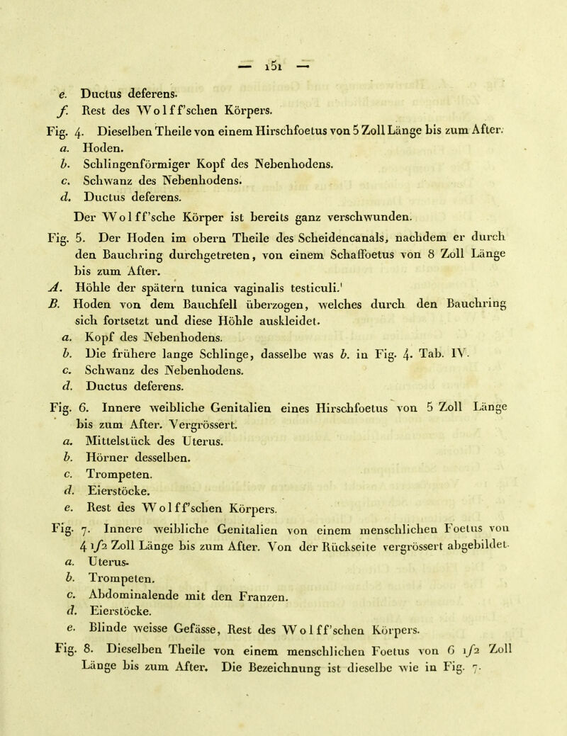 e. Ductus deferens. f. Rest des Wolff'sclien Körpers. Fig. 4. Dieselben Theile von einem Hirschfoetus von 5 Zoll Länge bis zum After. a. Hoden. b. Sclilingenförmiger Kopf des Nebenhodens. c. Schwanz des Nebenhodens. d. Ductus deferens. Der Wo 1 ff'sehe Körper ist bereits ganz verschwunden. Fig. 5. Der Hoden im ohern Theile des Scheidencanals, nachdem er durch den Bauchring durchgetreten, von einem SchafFoetus von 8 Zoll Länge bis zum After. A. Höhle der spätem tunica vaginalis testiculi.' B. Hoden von dem Bauchfell überzogen, welches durch den Bauchring sich fortsetzt und diese Höhle auskleidet. a. Kopf des Nebenhodens. b. Die frühere lange Schlinge, dasselbe was b. in Fig. 4* Tab. IV. c. Schwanz des Nebenhodens. d. Ductus deferens. Fig. 6. Innere weibliche Genitalien eines Hirschfoetus von 5 Zoll Länge bis zum After. V ergrösser t. a. Mittelstück des Uterus. b. Hörner desselben. c. Trompeten. d. Eierstöcke. e. Rest des Wolff'sclien Körpers. Fig. 7. Innere weibliche Genitalien von einem menschlichen Foetus von 4 1/2 Zoll Länge bis zum After. Von der Rückseite vergrössert abgebildet a. Uterus- b. Trompeten. c. Abdominalende mit den Franzen. d. Eierstöcke. e. Blinde weisse Gefässe, Rest des Wolff'sclien Körpers. Fig. 8. Dieselben Theile von einem menschlichen Foetus von G 1/2 Zoll Länge bis zum After, Die Bezeichnung ist dieselbe wie in Fig. 7.