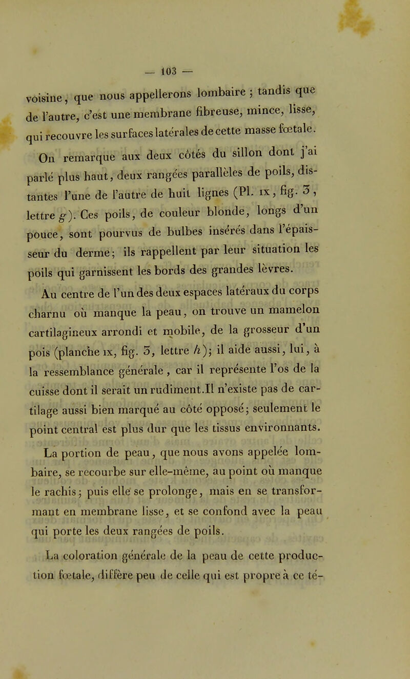 voisine, que nous appellerons lombaire ; tandis que de l'autre, c'est une membrane fibreuse, mince, lisse, qui recouvre les surfaces latérales de cette masse fœtale. On remarque aux deux côtés du sillon dont j'ai parlé plus haut, deux rangées parallèles de poils, dis- tantes l'une de l'autre de huit lignes (Pl. ix, fig. 3, lettre Ces poils, de couleur blonde, longs d'un pouce, sont pourvus de bulbes insérés dans l'épais- seur du derme; ils rappellent par leur situation les poils qui garnissent les bords des grandes lèvres. Au centre de l'un des deux espaces latéraux du corps charnu où manque la peau, on trouve un mamelon cartilagineux arrondi et mobile, de la grosseur d'un pois (planche îx, fig. 3, lettre h% i\ aide aussi, lui, à la ressemblance générale , car il représente l'os de la cuisse dont il serait un rudiment.il n'existe pas de car- tilage aussi bien marqué au côté opposé; seulement le point central est plus dur que les tissus environnants. La portion de peau, que nous avons appelée lom- baire, se recourbe sur elle-même, au point où manque le rachis; puis elle se prolonge, mais en se transfor- mant en membrane lisse, et se confond avec la peau qui porte les deux rangées de poils. La coloration générale de la peau de cette produc- tion fœtale, diffère peu de celle qui est propre à ce té-