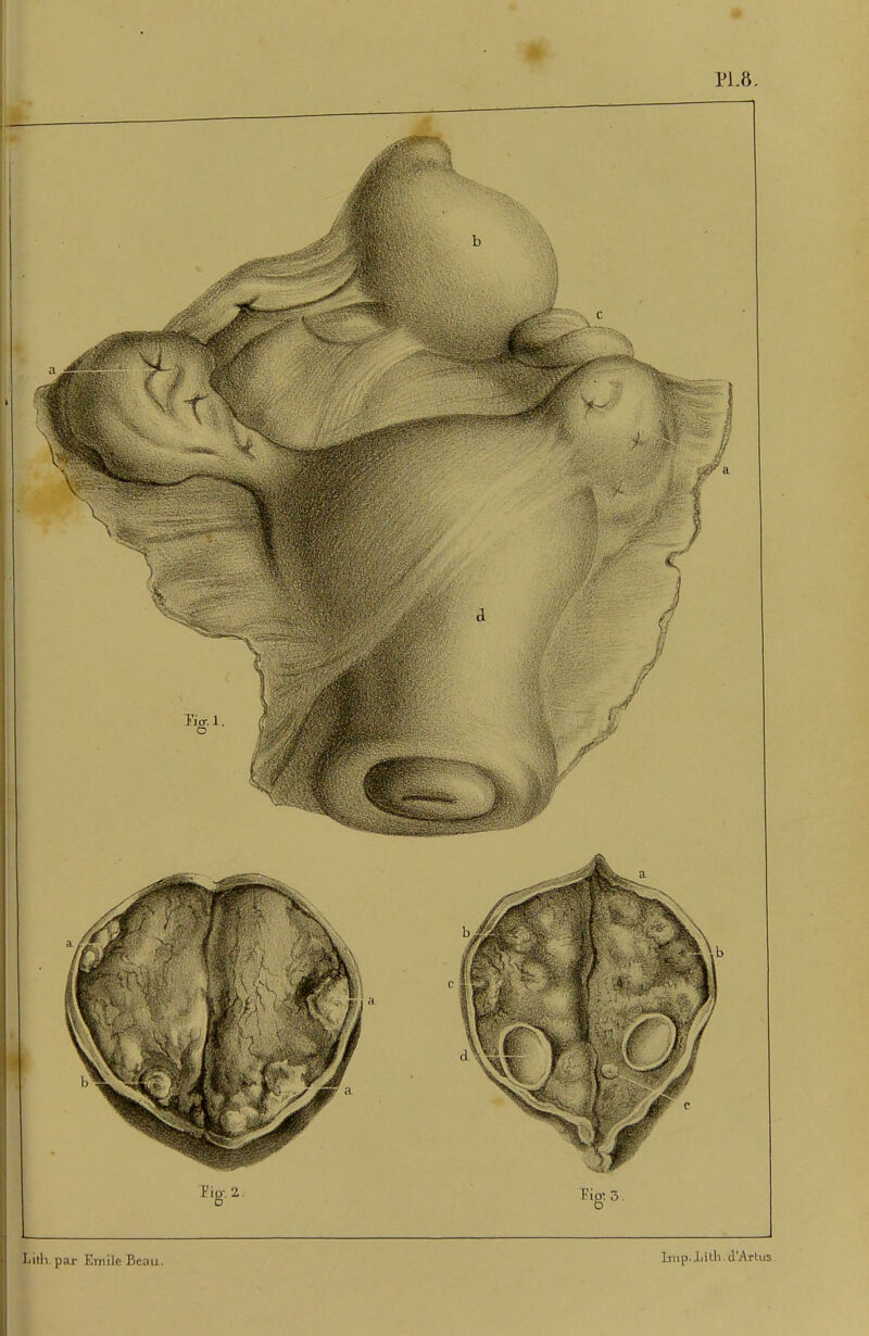 Lillv par Emile Bcou. Lmp.Iiith d'Arbus