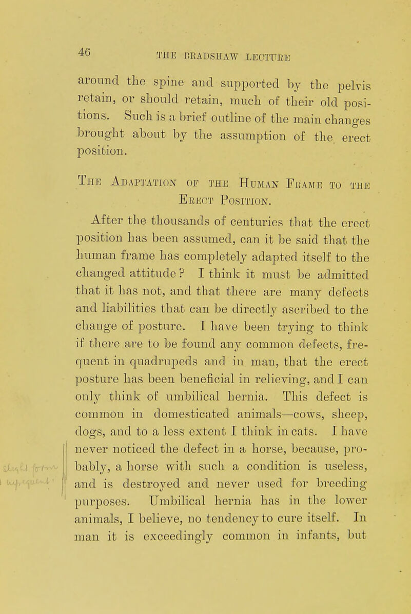 THE HE A DSIT AW LECTEEE around the spine and supported by the pelvis retain, or should retain, much of their old posi- tions. Such is a brief outline of the main changes brought about by the assumption of the. erect position. The Adaptation of the Human Frame to the Erect Position. After the thousands of centuries that the erect position has been assumed, can it be said that the human frame has completely adapted itself to the changed attitude ? I think it must be admitted that it has not, and that there are many defects and liabilities that can be directly ascribed to the change of posture. I have been trying to think if there are to be found any common defects, fre- quent in quadrupeds and in man, that the erect posture has been beneficial in relieving, and I can only think of umbilical hernia. This defect is common in domesticated animals—cows, sheep, dogs, and to a less extent I think in cats. I have never noticed the defect in a horse, because, pro- bably, a horse with such a condition is useless, and is destroyed and never used for breeding purposes. Umbilical hernia has in the lower animals, I believe, no tendency to cure itself. In man it is exceedingly common in infants, but