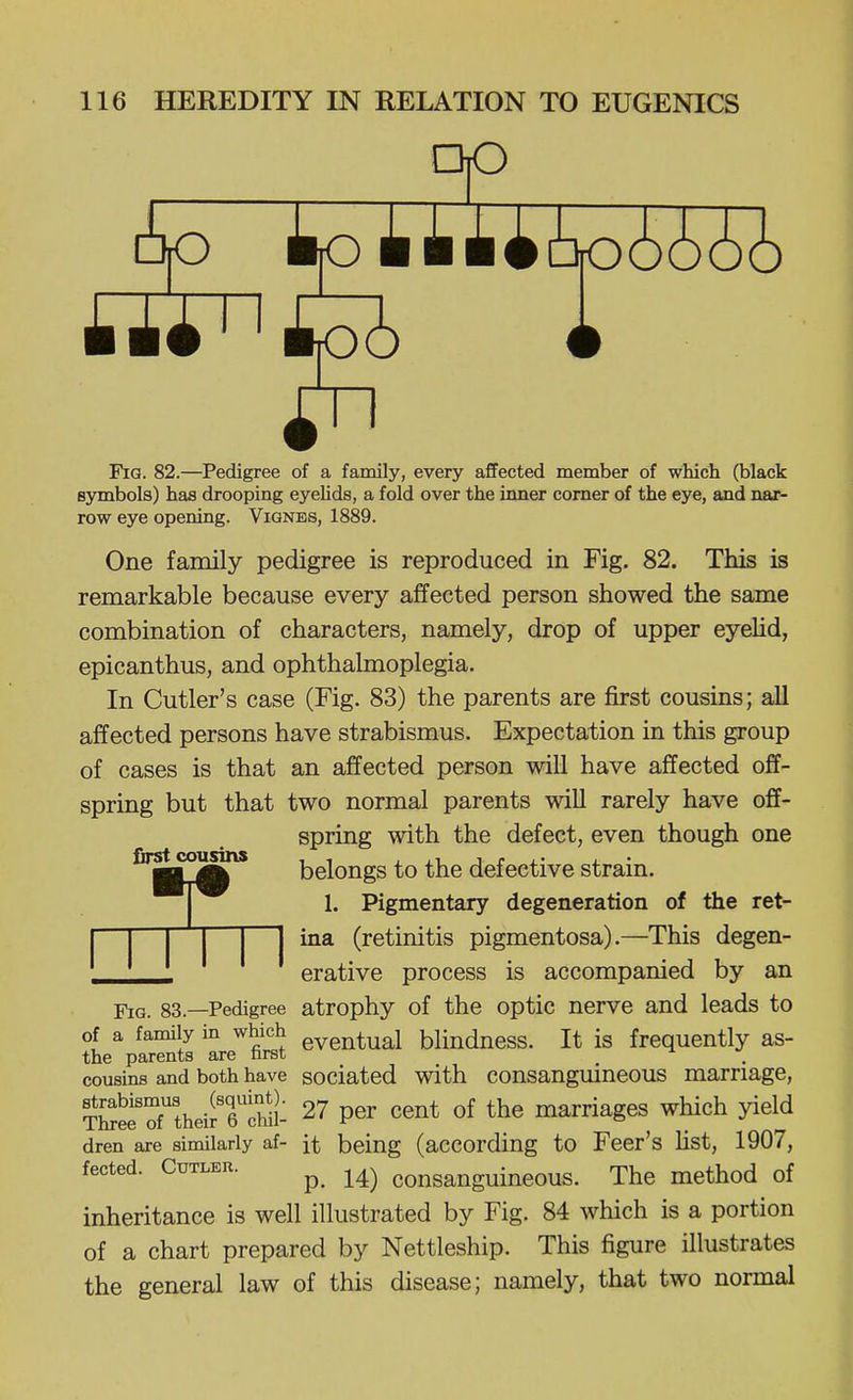 op Fig. 82.—Pedigree of a family, every affected member of whict (black symbols) has drooping eyelids, a fold over the imier corner of the eye, and nax- row eye opening. Vignes, 1889. One family pedigree is reproduced in Fig. 82. This is remarkable because every affected person showed the same combination of characters, namely, drop of upper eyeUd, epicanthus, and ophthalmoplegia. In Cutler's case (Fig. 83) the parents are first cousins; all affected persons have strabismus. Expectation in this group of cases is that an affected person will have affected off- spring but that two normal parents will rarely have off- spring with the defect, even though one fu^cousim belongs to the defective strain. j 1. Pigmentary degeneration of the ret- ina (retinitis pigmentosa).—This degen- erative process is accompanied by an jPjQ 83.—Pedigree atrophy of the optic nerve and leads to of a family in which g^Q^tual blindness. It is frequently as- the parents are nrst ^ cousins and both have sociated with consanguineous marriage, TSe^Tthei^rihii- 27 per cent of the marriages which yield dren are similarly af- it being (according to Feer's Kst, 1907, fected. Cutler. ^ consanguineous. The method of inheritance is well illustrated by Fig. 84 which is a portion of a chart prepared by Nettleship. This figure illustrates the general law of this disease; namely, that two normal