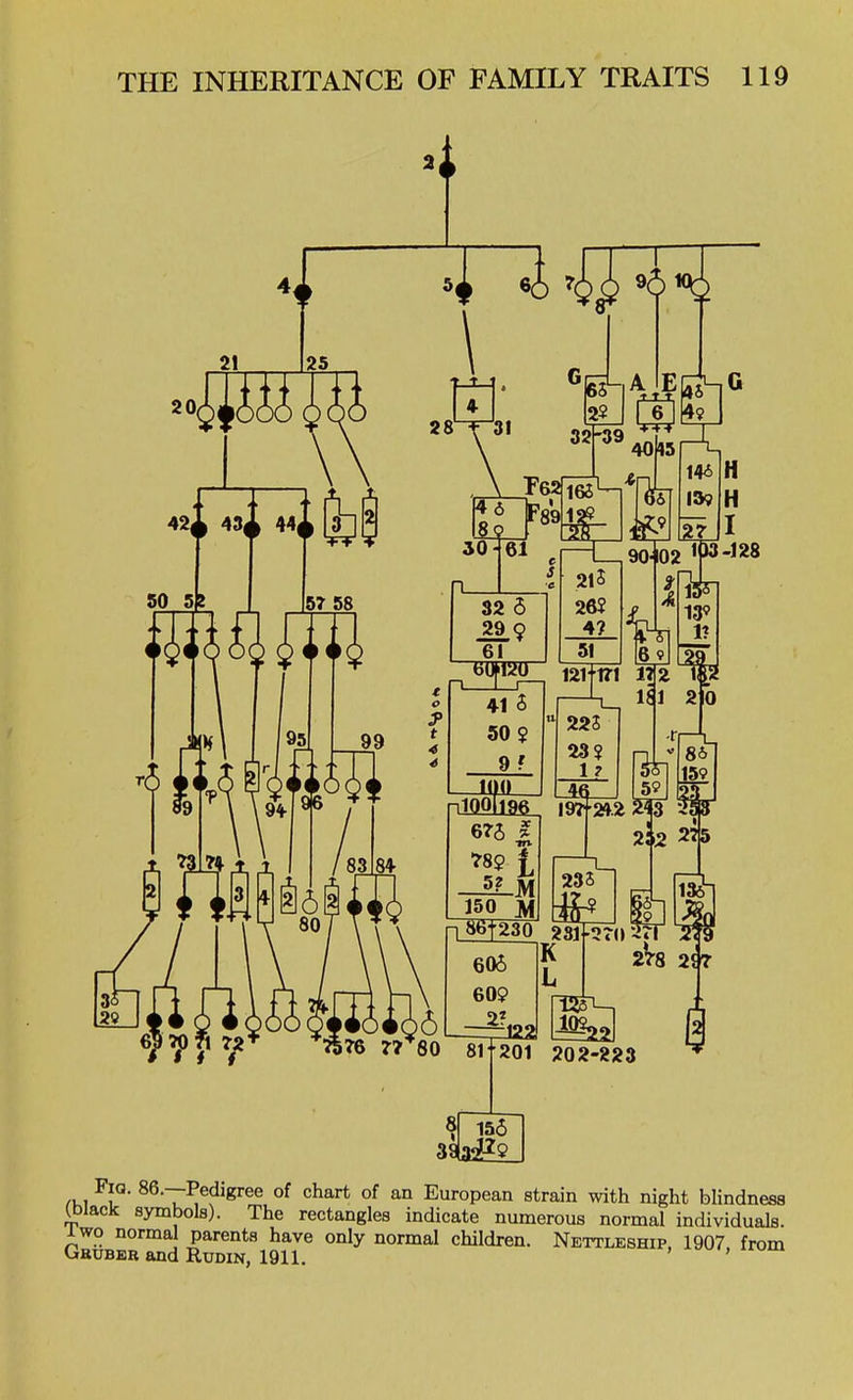 ^Ki 1°' ^^'T^^^'Kree of chart of an European strain with night blindness iDiack symbols). The rectangles indicate numerous normal individuals, xwo norma parents have only normal children. Netoleship, 1907. from uauBEB and Rudin, 1911.