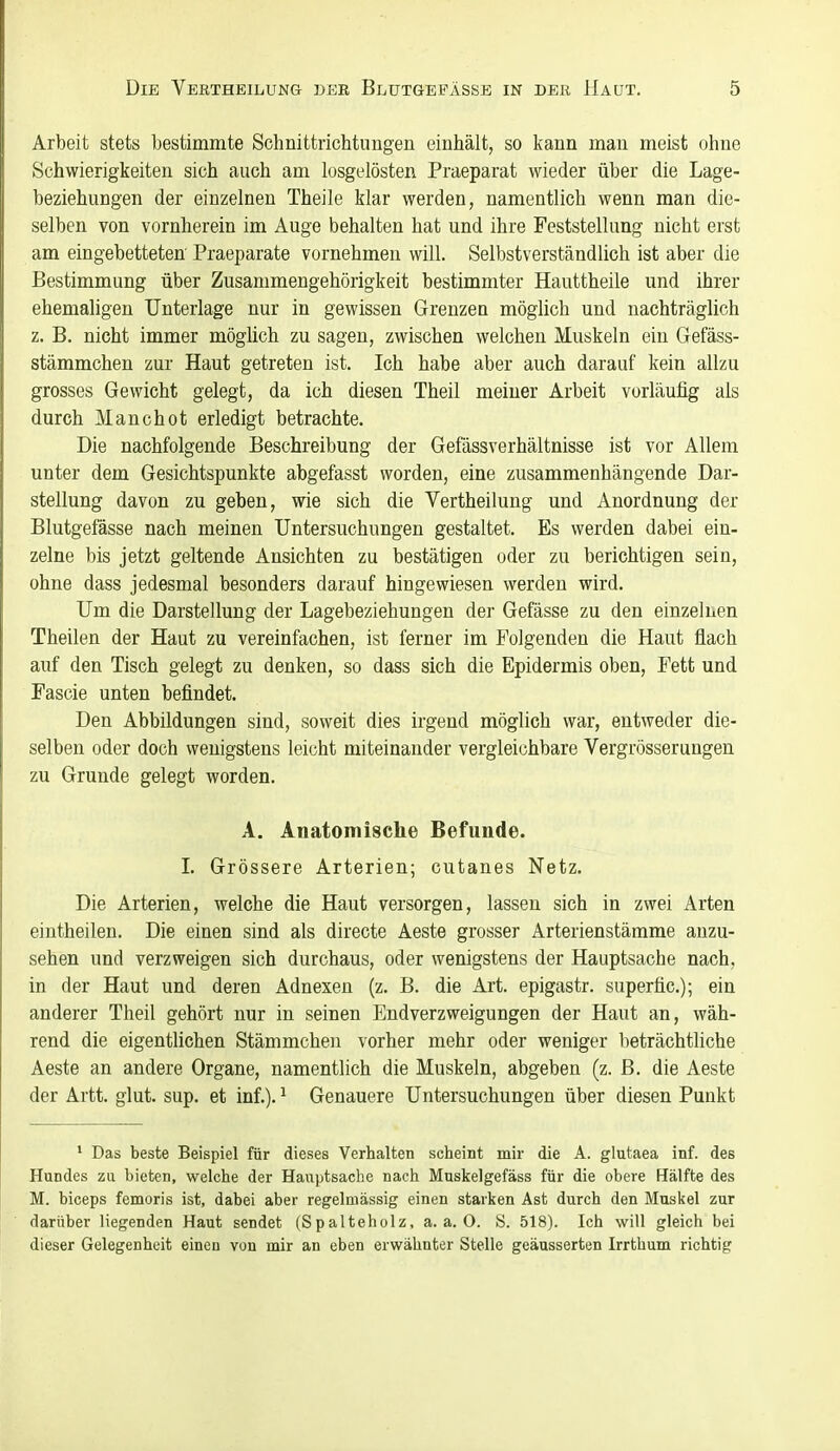 Arbeit stets bestimmte Sohnittrichtungen einhält, so kann man meist ohne Schwierigkeiten sich auch am losgelösten Praeparat wieder über die Lage- beziehungen der einzelnen Theile klar werden, namentlich wenn man die- selben von vornherein im Auge behalten hat und ihre Feststellung nicht erst am eingebetteten Praeparate vornehmen will. Selbstverständlich ist aber die Bestimmung über Zusammengehörigkeit bestimmter Hauttheile und ihrer ehemaligen Unterlage nur in gewissen Grenzen möglich und nachträglich z. B. nicht immer möglich zu sagen, zwischen welchen Muskeln ein Gefäss- stämmchen zur Haut getreten ist. Ich habe aber auch darauf kein allzu grosses Gewicht gelegt, da ich diesen Theil meiner Arbeit vorläufig als durch Manchot erledigt betrachte. Die nachfolgende Beschreibung der Gefässverhältnisse ist vor Allem unter dem Gesichtspunkte abgefasst worden, eine zusammenhängende Dar- stellung davon zu geben, wie sich die Vertheilung und Anordnung der Blutgefässe nach meinen Untersuchungen gestaltet. Es werden dabei ein- zelne bis jetzt geltende Ansichten zu bestätigen oder zu berichtigen sein, ohne dass jedesmal besonders darauf hingewiesen werden wird. Um die Darstellung der Lagebeziehungen der Gefässe zu den einzelnen Theilen der Haut zu vereinfachen, ist ferner im Folgenden die Haut flach auf den Tisch gelegt zu denken, so dass sich die Epidermis oben, Fett und Fascie unten befindet. Den Abbildungen sind, soweit dies irgend möglich war, entweder die- selben oder doch wenigstens leicht miteinander vergleichbare Vergrösserungen zu Grunde gelegt worden. A. Anatomische Befunde. L Grössere Arterien; cutanes Netz. Die Arterien, welche die Haut versorgen, lassen sich in zwei Arten eintheilen. Die einen sind als directe Aeste grosser Arterienstämme anzu- sehen und verzweigen sich durchaus, oder wenigstens der Hauptsache nach, in der Haut und deren Adnexen (z. B. die Art. epigastr. supertic); ein anderer Theil gehört nur in seinen Endverzweigungen der Haut an, wäh- rend die eigentlichen Stämmchen vorher mehr oder weniger beträchtliche Aeste an andere Organe, namentlich die Muskeln, abgeben (z. B. die Aeste der Artt. glut. sup. et inf.). ^ Genauere Untersuchungen über diesen Punkt * Das beste Beispiel für dieses Verhalten scheint mir die A. glutaea inf. des Hundes zu bieten, welche der Hauptsache nach Muskelgefäss für die obere Hälfte des M. biceps femoris ist, dabei aber regelmässig einen starken Ast durch den Muskel zur darüber liegenden Haut sendet (Spalteholz, a.a.O. S. 518). Ich will gleich bei dieser Gelegenheit einen von mir an eben erwähnter Stelle geäusserten Irrthum richtig