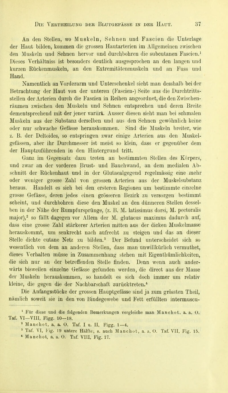 An den Stellen, wo Muskeln, Sehnen und Fascien die Unterlage der Haut bilden, kommen die grossen Hautarterien im Allgemeinen zwischen den Muskeln und Sehnen hervor und durchbohren die subcutanen Fascien.^ Dieses Verhältniss ist besonders deutlich ausgesprochen an den langen und kurzen Rückenmuskeln, an den Extremitätenmuskeln und an Fuss und Hand. Namentlich an Vorderarm und Unterschenkel sieht man desshalb bei der Betrachtung der Haut von der unteren (Fascien-) Seite aus die Durchtritts- stellen der Arterien durch die Fascien in Reihen angeordnet, die den Zwischen- räumen zwischen den Muskeln und Sehnen entsprechen und deren Breite dementsprechend mit der jener variirt. Ausser diesen sieht man bei schmalen Muskeln aus der Substanz derselben und aus den Sehnen gewöhnlich keine oder nur schwache Gefässe herauskommen. Sind die Muskeln breiter, wie z. B. der Deltoides, so entspringen zwar einige Arterien aus den Muskel- gefässen, aber ihr Durchmesser ist meist so klein, dass er gegenüber dem der Hauptzuführenden in den Hintergrund tritt. Ganz im Gegensatz dazu treten an bestimmten Stellen des Körpers, und zwar an der vorderen Brust- und Bauchwand, an dem medialen Ab- schnitt der Rückenhaut und in der Glutaealgegend regelmässig eine mehr oder weniger grosse Zahl von grossen Arterien aus der Muskelsubstanz heraus. Handelt es sich bei den ersteren Regionen um bestimmte einzelne grosse Gefässe, deren jedes einen grösseren Bezirk zu versorgen bestimmt scheint, und durchbohren diese den Muskel an den dünneren Stellen dessel- ben in der Nähe der Rumpfursprünge, (z. B. M. latissimus dorsi, M. pectorahs major),2 so fällt dagegen vor Allem der M. glutaeus maximus dadurch auf, dass eine grosse Zahl stärkerer Arterien mitten aus der dicken Muskelmasse herauskommt, um senkrecht nach aufrecht zu steigen und das an dieser Stelle dichte cutane Netz zu bilden.^ Der Befund unterscheidet sich so wesentlich von dem an anderen Stellen, dass man unwillkürlich vermuthet, dieses Verhalten müsse in Zusammenhang stehen mit Eigenthümlichkeiten, die sich nur an der betreffenden Stelle finden. Denn wenn auch ander- wärts bisweilen einzelne Gefässe gefunden werden, die direct aus der Masse der Muskeln herauskommen, so handelt es sich doch immer um relativ kleine, die gegen die der Nachbarschaft zurücktreten.* Die Anfangsstücke der grossen Hauptgefässe sind ja zum grössten Theil, nämlich soweit sie in den von Bindegewebe und Fett erfüllten intermuscu- * Für diese uud die folgenden Bemerkungen vergleiche man Manchot. a. a. 0. Taf. VI-VIII, Pigg. 10—18. Manchot, a. a. 0. Taf. I u. II, Figg. 1-4. ä Taf. VI, Fig. 19 untere Hälfte; s. auch Manchot, a. a. O. Taf. VII, Fig. 15. * Manchot, a. a. 0. Taf. VIII, Fig. 17.