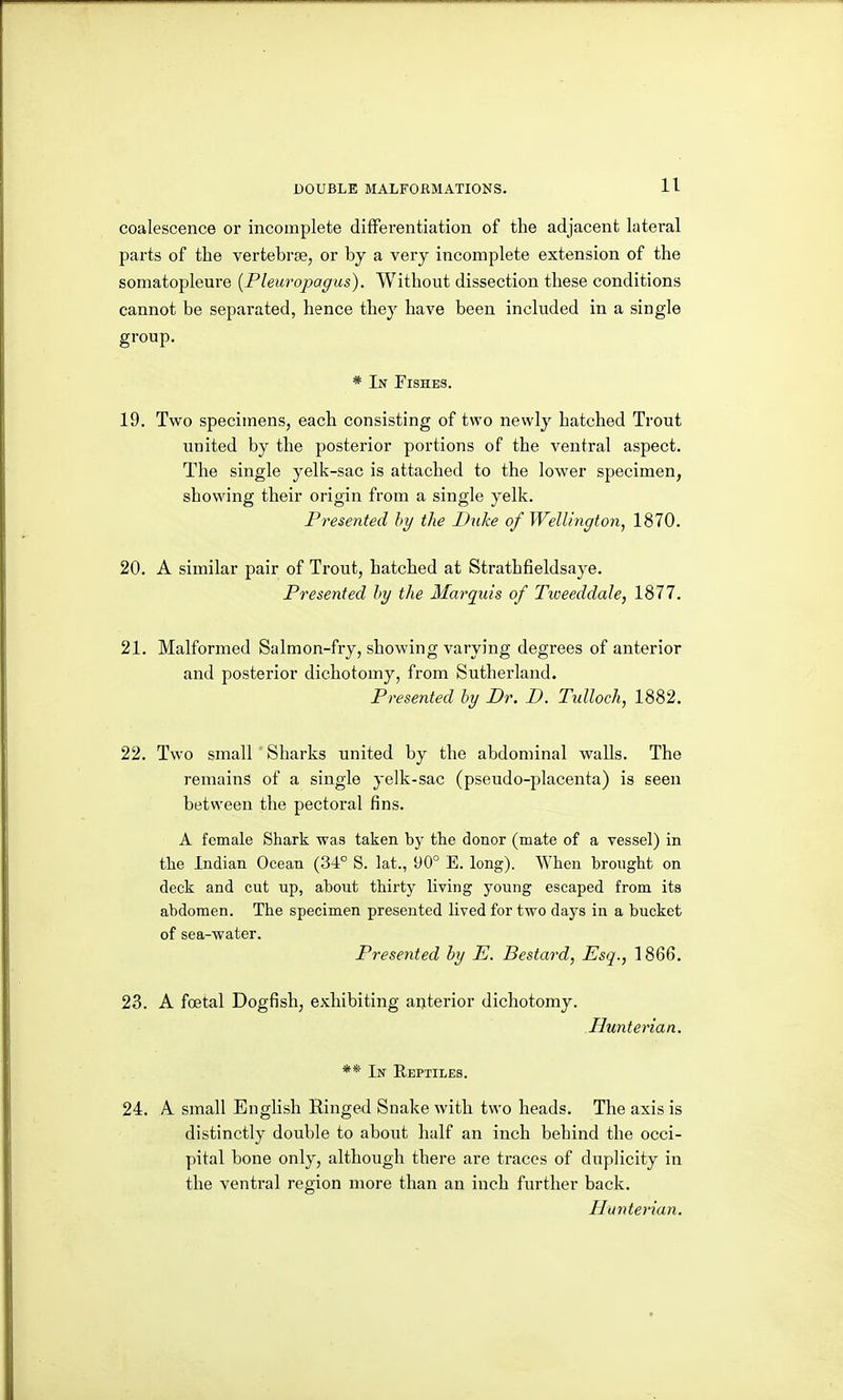 coalescence or incomplete differentiation of the adjacent lateral parts of the vertebrge, or by a very incomplete extension of the somatopleure [Pleuropogus). Without dissection these conditions cannot be separated, hence the}' have been included in a single group. * In Fishes. 19. Two specimens, each consisting of two newly hatched Trout united by the posterior portions of the ventral aspect. The single yelk-sac is attached to the lower specimen, showing their origin from a single yelk. Presented hy the Duke of Wellington^ 1870. 20. A similar pair of Trout, hatched at Strathfieldsaye. Presented hy the Marquis of Tiveeddale, 1877. 21. Malformed Salmon-fry, showing varying degrees of anterior and posterior dichotomy, from Sutherland. Presented by Dr. D. Tulloch, 1882. 22. Two small Sharks united by the abdominal walls. The remains of a single yelk-sac (pseudo-placenta) is seen between the pectoral fins. A female Shark was taken by the donor (mate of a vessel) in the Indian Ocean (34° S. lat., 90° E. long). When brought on deck and cut up, about thirty living young escaped from its abdomen. The specimen presented lived for two days in a bucket of sea-water. Presented by E. Bestard, Esq., 1866. 23. A foetal Dogfish, exhibiting anterior dichotomy. Htmterian. ** In Reptiles. 24. A small English Ringed Snake with two heads. The axis is distinctly double to about half an inch behind the occi- pital bone only, although there are traces of duplicity in the ventral region more than an inch further back. Dunterian.