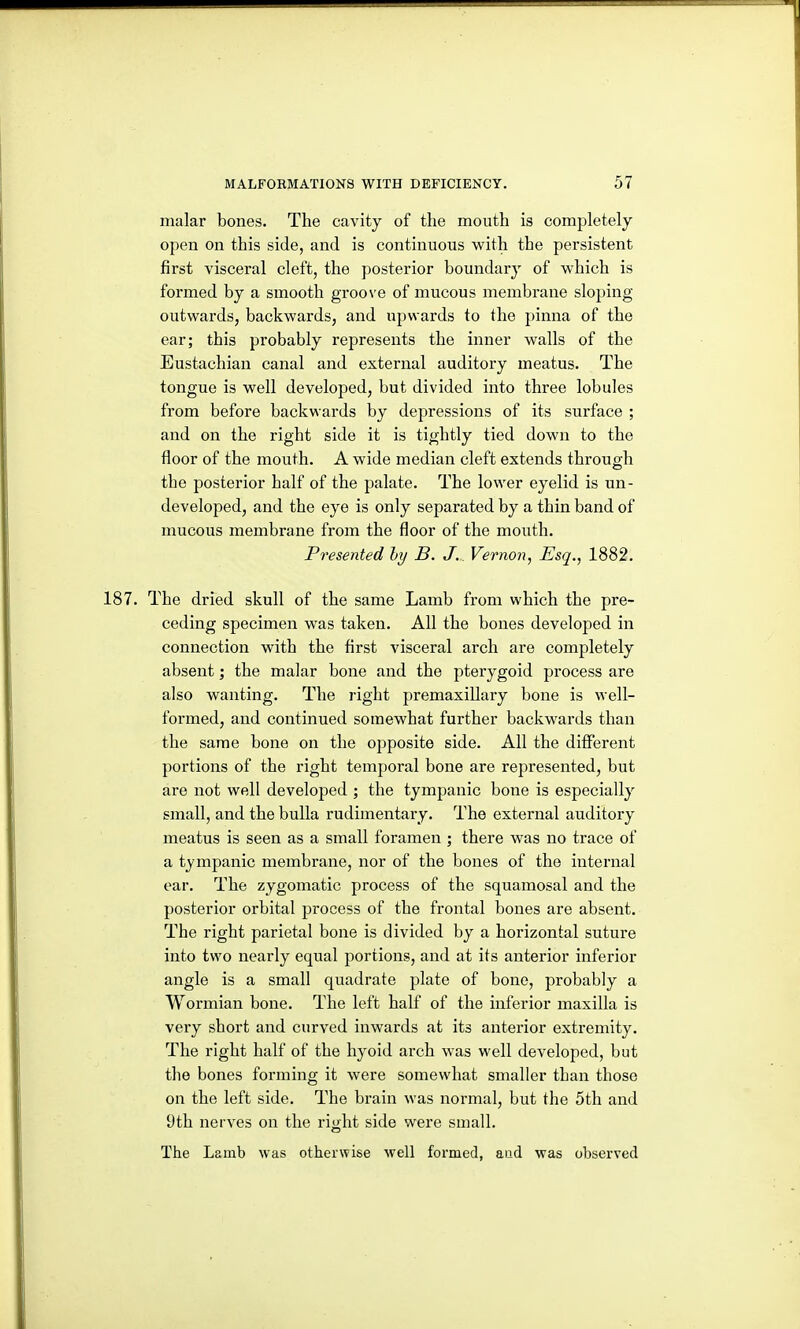 malar bones. The cavity of the mouth is completely open on this side, and is continuous with the persistent first visceral cleft, the posterior boundary of which is formed by a smooth groove of mucous membrane sloping outwards, backwards, and upwards to the pinna of the ear; this probably represents the inner walls of the Eustachian canal and external auditory meatus. The tongue is well developed, but divided into three lobules from before backwards by depressions of its surface ; and on the right side it is tightly tied down to the floor of the mouth. A wide median cleft extends through the posterior half of the palate. The lower eyelid is un- developed, and the eye is only separated by a thin band of mucous membrane from the floor of the mouth. Presented Inj B. J. Vernon, Esq., 1882. 187. The dried skull of the same Lamb from which the pre- ceding specimen was taken. All the bones developed in connection with the first visceral arch are completely absent; the malar bone and the pterygoid process are also wanting. The right premaxillary bone is well- formed, and continued somewhat further backwards than the same bone on the opposite side. All the different portions of the right temporal bone are represented, but are not well developed ; the tympanic bone is especially small, and the bulla rudimentary. The external auditory meatus is seen as a small foramen ; there was no trace of a tympanic membrane, nor of the bones of the internal oar. The zygomatic process of the squamosal and the posterior orbital process of the frontal bones are absent. The right parietal bone is divided by a horizontal suture into two nearly equal portions, and at its anterior inferior angle is a small quadrate plate of bone, probably a Wormian bone. The left half of the inferior maxilla is very short and curved inwards at its anterior extremity. The right half of the hyoid arch was well developed, but the bones forming it were somewhat smaller than those on the left side. The brain was normal, but the 5th and 9th nerves on the right side were small. The Lamb was otherwise well formed, aad was observed