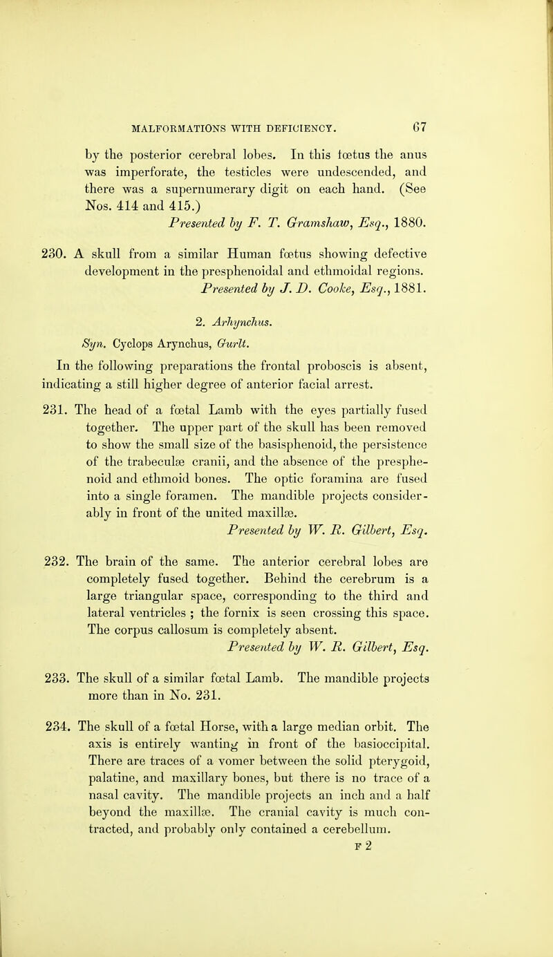 by the posterior cerebral lobes. In this Icetus the anus was imperforate, the testicles were undescended, and there was a supernumerary digit on each hand. (See Nos. 414 and 415.) Presented hy F. T. Gramshaw, Esq., 1880. 230. A skull from a similar Human foetus showing defective development in the presphenoidal and ethmoidal regions. Presented by J. D. Coohe, Esq., 1881. 2. Arhynchus. Syn. Cyclops Arynclius, Gurlt. In the following preparations the frontal proboscis is absent, indicating a still higher degree of anterior facial arrest. 231. The head of a foetal Lamb with the eyes partially fused together. The upper part of the skull has been removed to show the small size of the basisphenoid, the persistence of the trabeculse cranii, and the absence of the presphe- noid and ethmoid bones. The optic foramina are fused into a single foramen. The mandible projects consider- ably in front of the united maxillae. Presented by W. R. Gilbert, Esq. 232. The brain of the same. The anterior cerebral lobes are completely fused together. Behind the cerebrum is a large triangular space, corresponding to the third and lateral ventricles ; the fornix is seen crossing this space. The corpus callosum is completely absent. Presented by W. R. Gilbert, Esq. 233. The skull of a similar foetal Lamb. The mandible projects more than in No. 231. 234. The skull of a foetal Horse, with a large median orbit. The axis is entirely wanting in front of the basioccipital. There are traces of a vomer between the solid pterygoid, palatine, and maxillary bones, but there is no trace of a nasal cavity. The mandible projects an inch and a half beyond the maxillae. The cranial cavity is much con- tracted, and probably only contained a cerebellum. f2