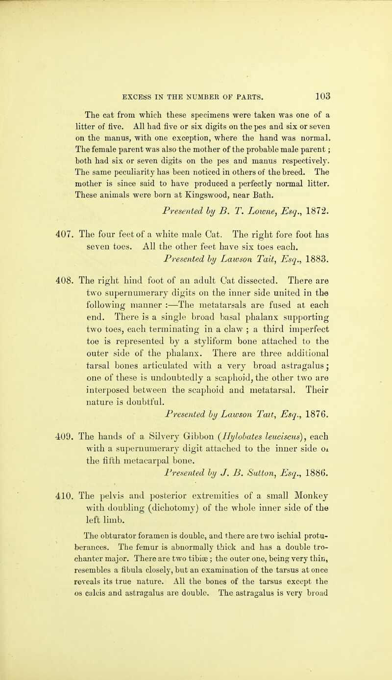 The cat from which these specimens were taken was one of a litter of live. All had five or six digits on the pes and six or seven on the man us, with one exception, where the hand was normal. The female parent was also the mother of the probable male parent; both had six or seven digits on the pes and manus respectively. The same peculiarity has been noticed in others of the breed. The mother is since said to have produced a perfectly normal litter. These animals were born at Kingswood, near Bath. Presented by B. T. Loiune, Esq., 1872. 407. The four feet of a white male Cat. The rio-ht fore foot has seven toes. All the other feet have six toes each. Presented by Lawson Tait, Esq,, 1883. 408. The right hind foot of an adult Cat dissected. There are two supernumerary digits on the inner side united in th^e following manner :—The metatarsals are fused at each end. There is a single broad basal phalanx supporting two toes, each terminating in a claw ; a third imperfect toe is represented by a styliform bone attached to the outer side of the phalanx. There are three additional tarsal bones articulated with a very broad astragalus; one of these is undoubtedly a scaphoid, the other two are interposed between the scaphoid and metatarsal. Their nature is doubtful. Presented by Lawson Tait, Esq., 1876. 409. The hands of a Silvery Gibbon (^Hylobates leuciscus), each with a supernumerary digit attached to the inner side Oi the fiith metacarpal bone. Presented hy J. B. Sutton, Esq., 1886. 410. The pelvis and posterior extremities of a small Monkey with doubling (dichotomy) of the whole inner side of the left limb. The obturator foramen is double, and there are two ischial protu- berances. The femur is abnormally thick and has a double tro- chanter major. There are two tibijE; the outer one, being very thin, resembles a fibula closely, but an examination of the tarsus at once reveals its true nature. All the bones of the tarsus except the OS calcis and astragalus are double. The astragalus is very broad