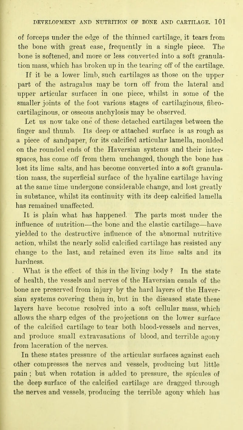 of forceps under the edge of the thinned cartilage, it tears from the bone with great ease, frequently in a single piece. The bone is softened, and more or less converted into a soft granula- tion mass, which has broken up in the tearing off of the cartilage. If it be a lower limb, such cartilages as those on the upper part of the astragalus may be torn off from the lateral and upper articular surfaces in one piece, whilst in some of the smaller joints of the foot various stages of cartilaginous, fibro- cartilaginous, or osseous anchylosis may be observed. Let us now take one of these detached cartilages between the finger and thumb. Its deep or attached surface is as rough as a piece of sandpaper, for its calcified articular lamella, moulded on the rounded ends of the Haversian systems and their inter- spaces, has come off from them unchanged, though the bone has lost its lime salts, and has become converted into a soft granula- tion mass, the superficial surface of the hyaline cartilage having at the same time undergone considerable change, and lost greatly in substance, whilst its continuity with its deep calcified lamella has remained unaffected. It is plain what has happened. The parts most under the influence of nutrition—the bone and the elastic cartilage—have yielded to the destructive influence of the abnormal nutritive action, whilst the nearly solid calcified cartilage has resisted any change to the last, and retained even its lime salts and its hardness. Wliat is the effect of this in the living body ? In the state of health, the vessels and nerves of the Haversian canals of the bone are preserved from injury by the hard layers of the Haver- sian systems covering them in, but in the diseased state these layers have become resolved into a soft cellular mass, which allows the sharp edges of the projections on the lower surface of the calcified cartilage to tear both blood-vessels and nerves, and produce small extravasations of blood, and terrible agony from laceration of the nerves. In these states pressure of the articular surfaces against each other compresses the nerves and vessels, producing but little pain ; but when rotation is added to pi-essure, the spicules of the deep surface of the calcified cartilage are dragged through the nerves and vessels, producing the terrible agony which lias