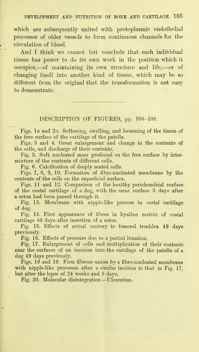which are subsequently united with protoplasmic endothelial processes of older vessels to form continuous channels for the circulation of blood. And I think we cannot but conclude that each individual tissue has power to do its own work in the position which it occupies,—-of maintaining its own structure and life,—or of changing itself into another kind of tissue, which may be so different from the original that the transformation is not easy to demonstrate. DESCRIPTION OF FIGURES, pp. 106-108. Figs, la and 2«. Softening, swelling, and loosening of the tissue of the free surface of the cartilage of the patella. Figs. 3 and 4. Great enlargement and change in the contents of the cells, and discharge of their contents. Fig. 5. Soft nucleated mass produced on the free surface by inter- mixture of the contents of different cells. Fig. 6. Calcification of deeply seated cells. Figs. 7, 8, 9, 10. Formation of fibro nucleated membrane by the contents of the cells on the superficial surface. Figs. 11 and 12. Comparison of the healthy perichondria! surface of the costal cartilage of a dog, with the same surface 5 days after a seton had been passed through it. Fig. 13. Membrane with nipple-like process in costal cartilage of dog. Fig. 14. First appearance of fibres in hyaline matrix of costal cartilage 40 days after insertion of a seton. Fig. 15. Effects of actual cautery to femoral trochlea 49 days previously. Fig. 16. Effects of pressure due to a partial luxation. Fig. 17. Enlargement of cells and multiplication of their contents near the surfaces of an incision into the cartilage of the patella of a dog 49 days previously. Figs. 18 and 19. Firm fibrous union by a fibro-nucleated membrane vfith. nipple-like processes after a similar incision to that in Fig. 17, but after the lapse of 24 weeks and 5 days. Fig. 20. Molecular disintegration—Ulceration.