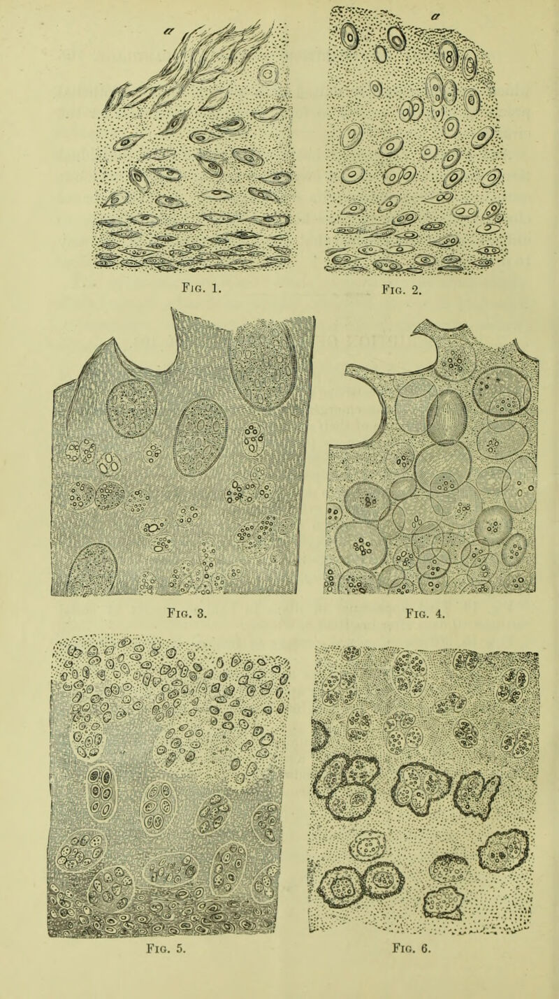 Fig, 6.