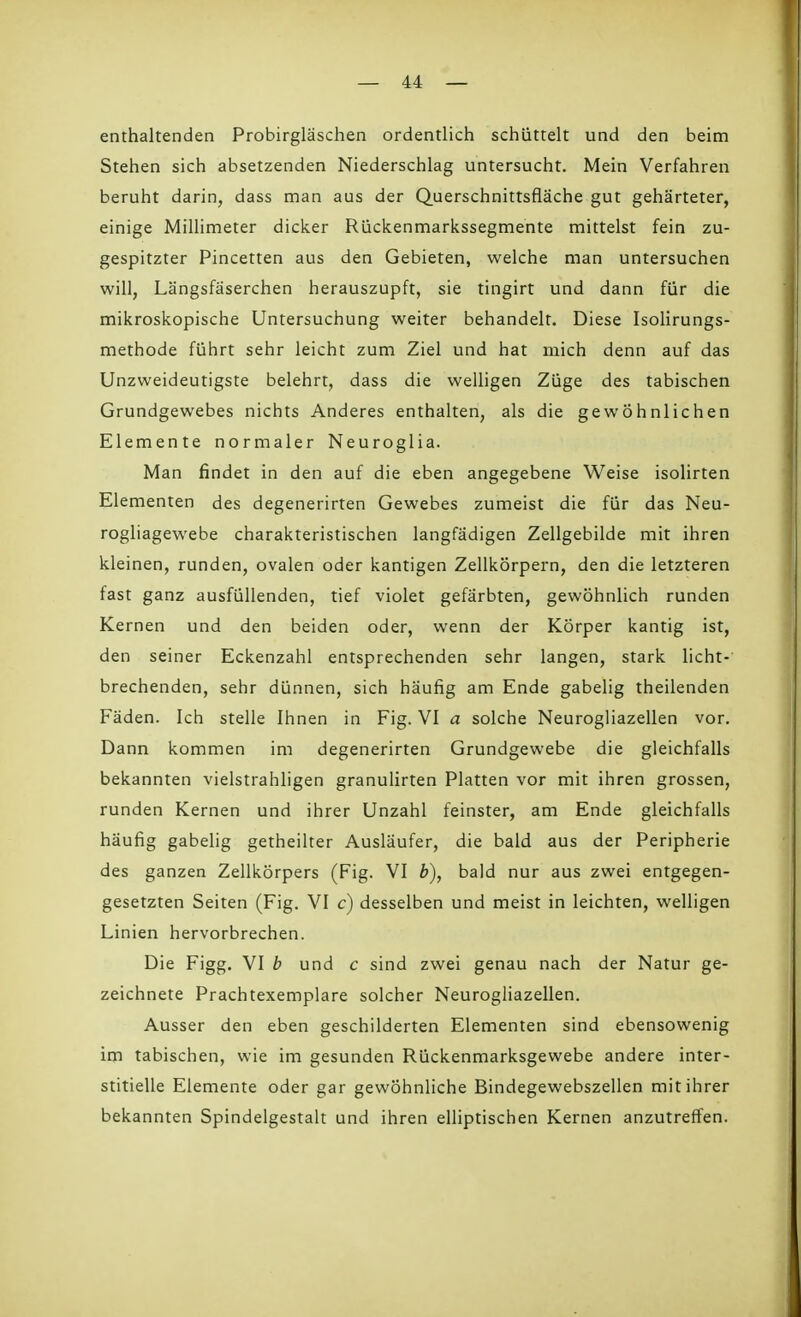 enthaltenden Probirgläschen ordentlich schüttelt und den beim Stehen sich absetzenden Niederschlag untersucht. Mein Verfahren beruht darin, dass man aus der Querschnittsfläche gut gehärteter, einige Millimeter dicker Rückenmarkssegmente mittelst fein zu- gespitzter Pincetten aus den Gebieten, welche man untersuchen will, Längsfäserchen herauszupft, sie tingirt und dann für die mikroskopische Untersuchung weiter behandelt. Diese Isolirungs- methode führt sehr leicht zum Ziel und hat mich denn auf das Unzweideutigste belehrt, dass die welligen Züge des tabischen Grundgewebes nichts Anderes enthalten, als die gewöhnlichen Elemente normaler Neuroglia. Man findet in den auf die eben angegebene Weise isolirten Elementen des degenerirten Gewebes zumeist die für das Neu- rogliagewebe charakteristischen langfädigen Zellgebilde mit ihren kleinen, runden, ovalen oder kantigen Zellkörpern, den die letzteren fast ganz ausfüllenden, tief violet gefärbten, gewöhnlich runden Kernen und den beiden oder, wenn der Körper kantig ist, den seiner Eckenzahl entsprechenden sehr langen, stark licht- brechenden, sehr dünnen, sich häufig am Ende gabelig theilenden Fäden. Ich stelle Ihnen in Fig. VI a solche Neurogliazellen vor. Dann kommen im degenerirten Grundgewebe die gleichfalls bekannten vielstrahligen granulirten Platten vor mit ihren grossen, runden Kernen und ihrer Unzahl feinster, am Ende gleichfalls häufig gabelig getheilter Ausläufer, die bald aus der Peripherie des ganzen Zellkörpers (Fig. VI b), bald nur aus zwei entgegen- gesetzten Seiten (Fig. VI c) desselben und meist in leichten, welligen Linien hervorbrechen. Die Figg. VI b und c sind zwei genau nach der Natur ge- zeichnete Prachtexemplare solcher Neurogliazellen. Ausser den eben geschilderten Elementen sind ebensowenig im tabischen, wie im gesunden Rückenmarksgewebe andere inter- stitielle Elemente oder gar gewöhnliche Bindegewebszellen mit ihrer bekannten Spindelgestalt und ihren elliptischen Kernen anzutreffen.